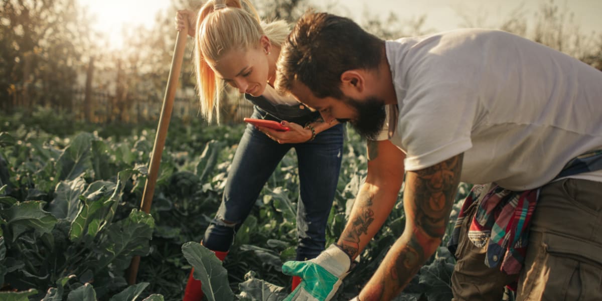 A female and male planting an organic vegetable garden.