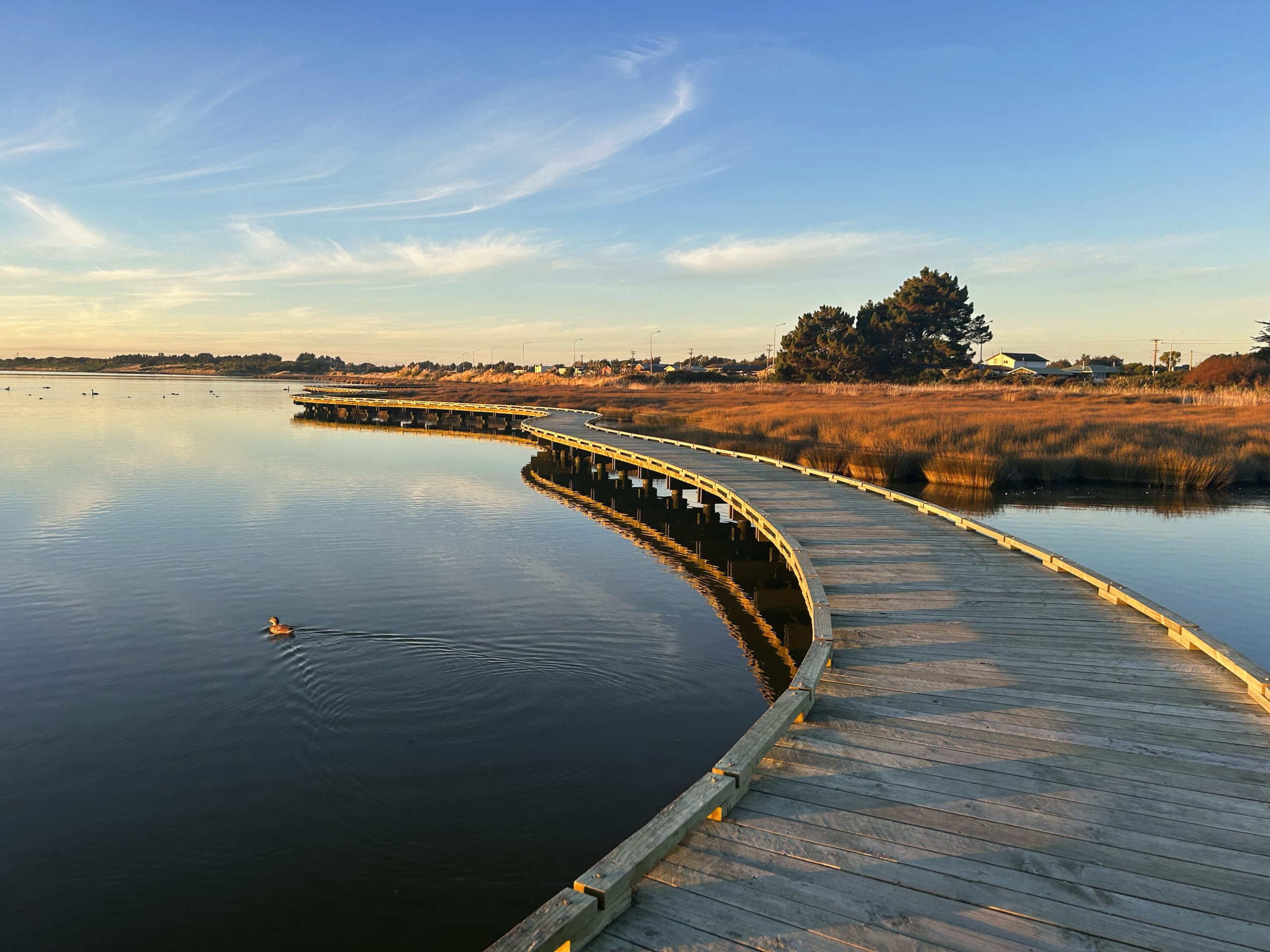 Invercargill Estuary Walkway Good Magazine