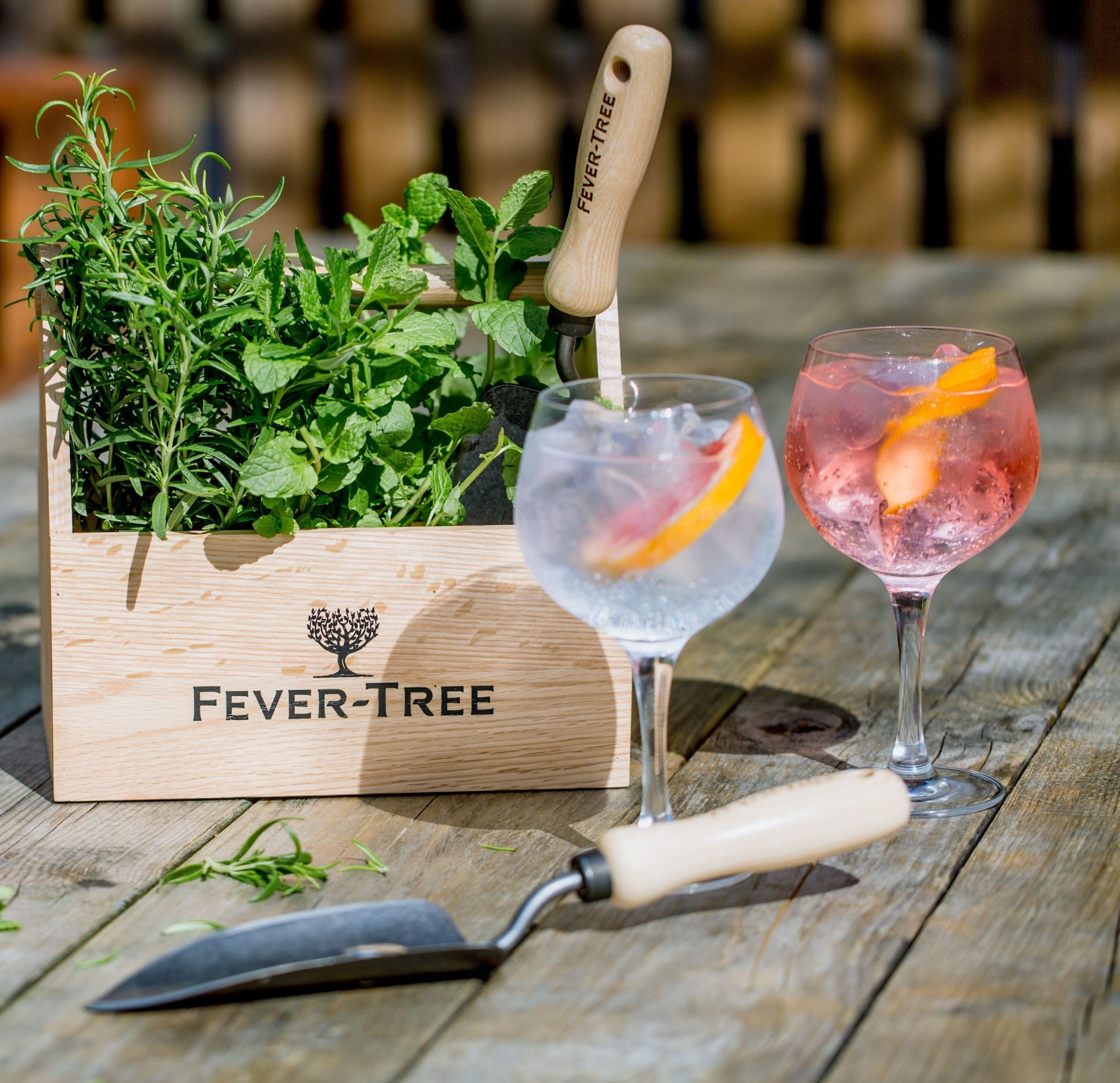 The four musthave herbs to grow and create a cocktail garden this