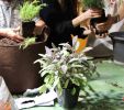 #SwisstainableEvents