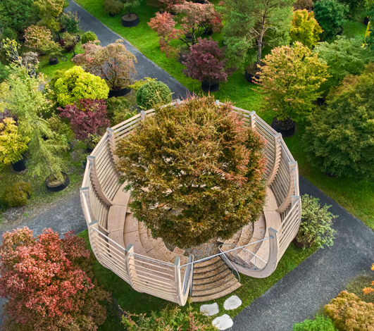 Près de Zurich, l’Enea Baummuseum offre un cadre exceptionnel aux événements