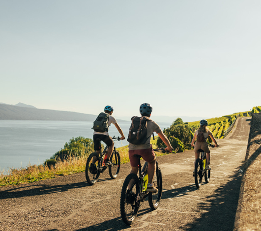 A vélo dans le vignoble de Lavaux, une immersion dans un paysage saisissant avec une touche MICE