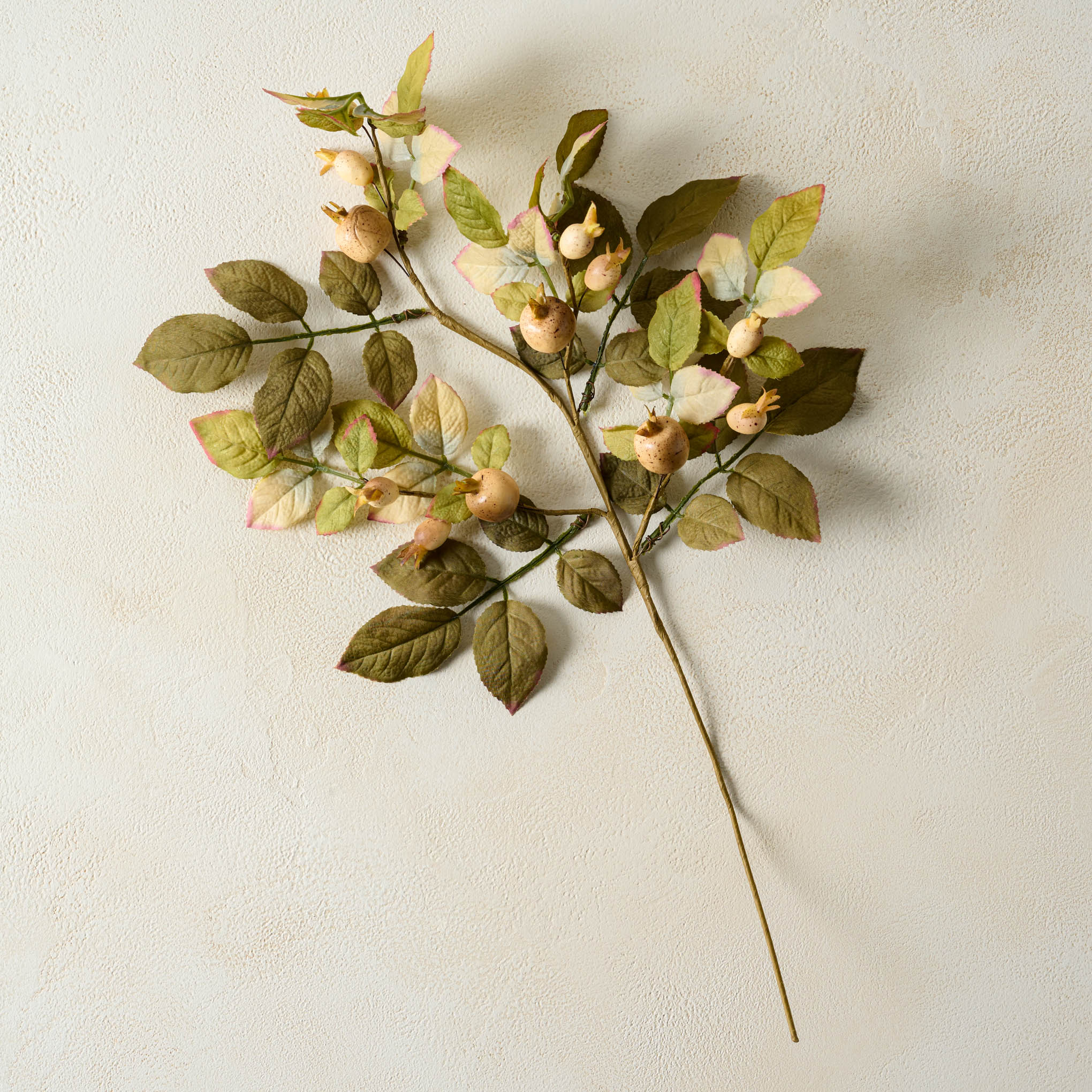 Olive Wreath - Magnolia