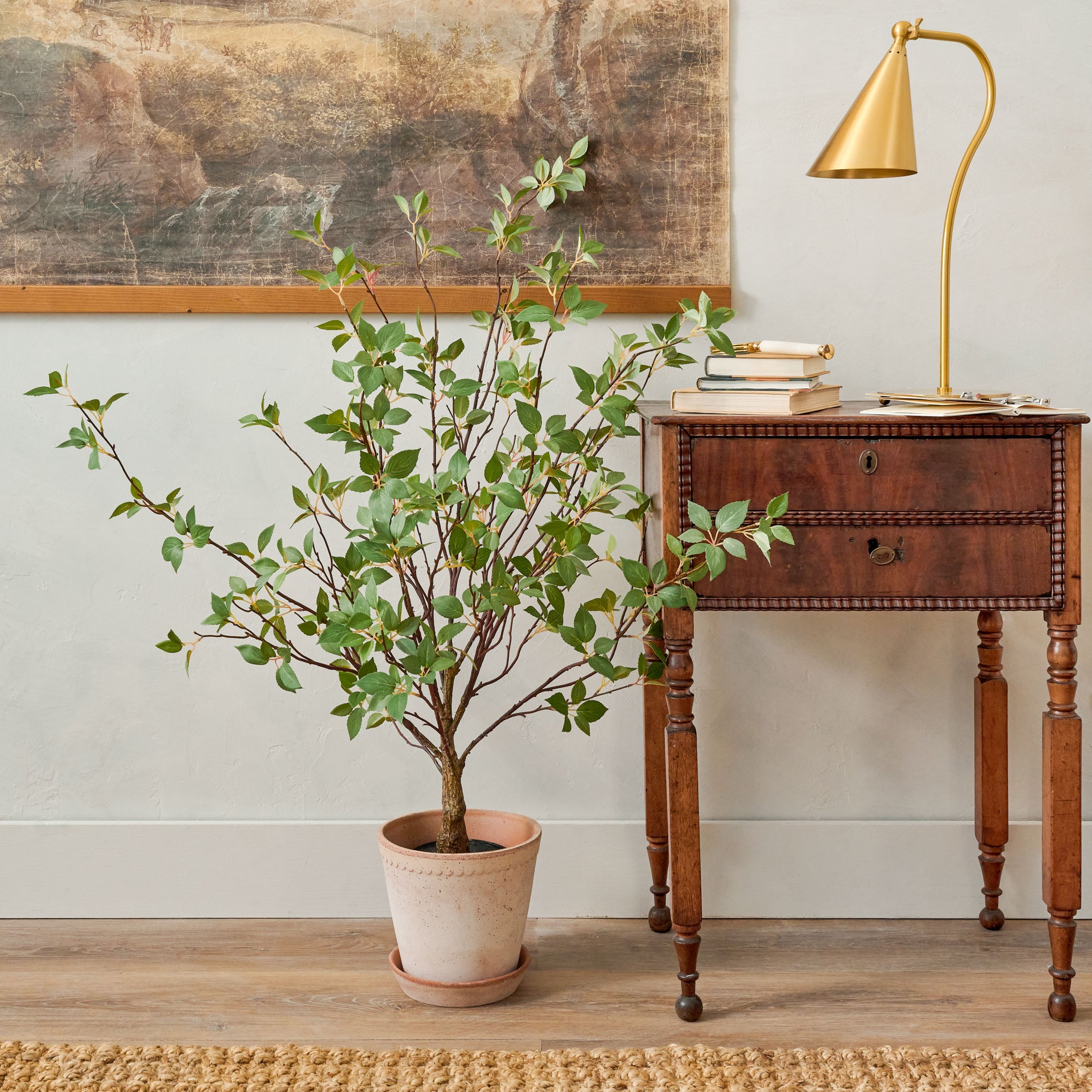 Small potted green leaf tree in a bergs pot