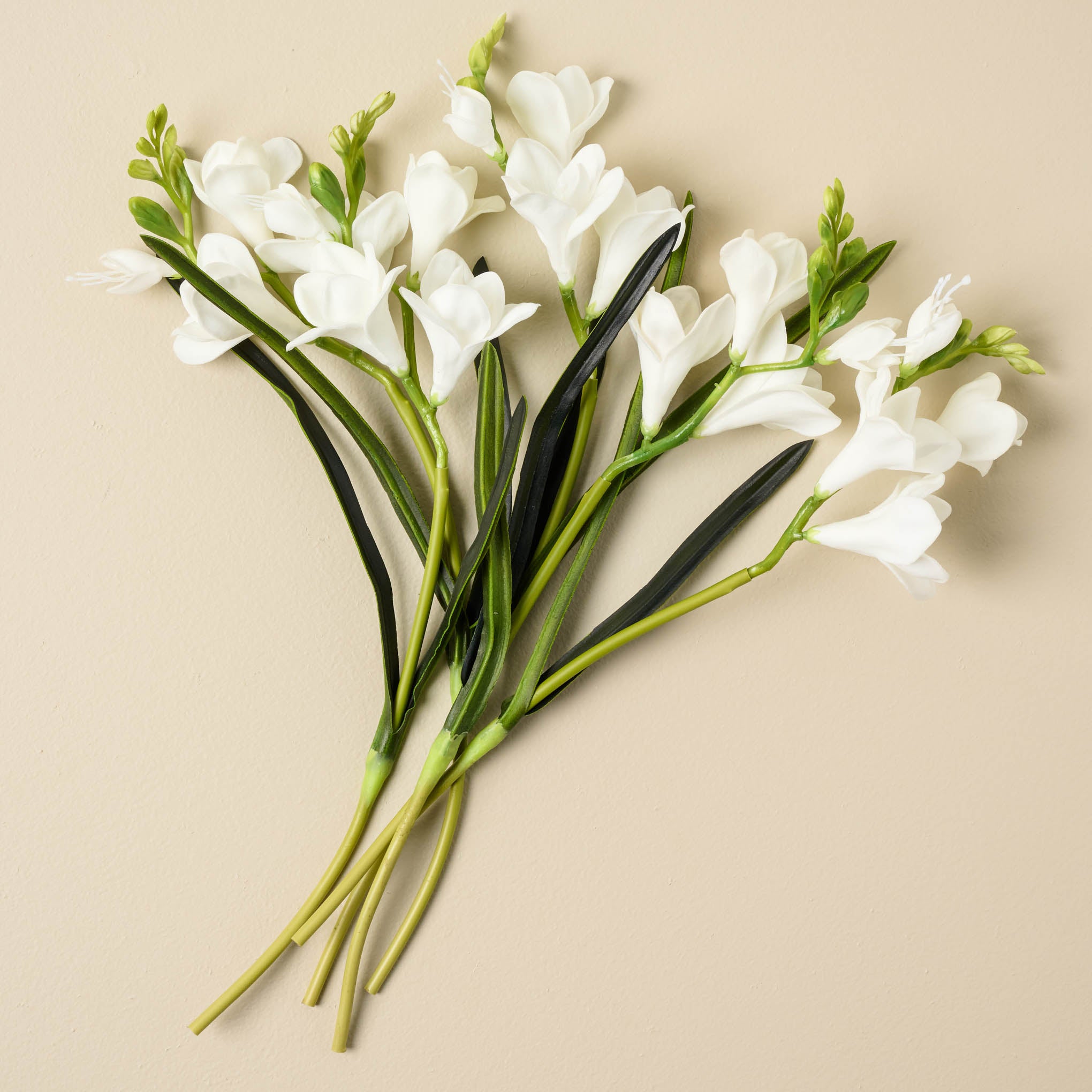 Daisy Wreath - Magnolia