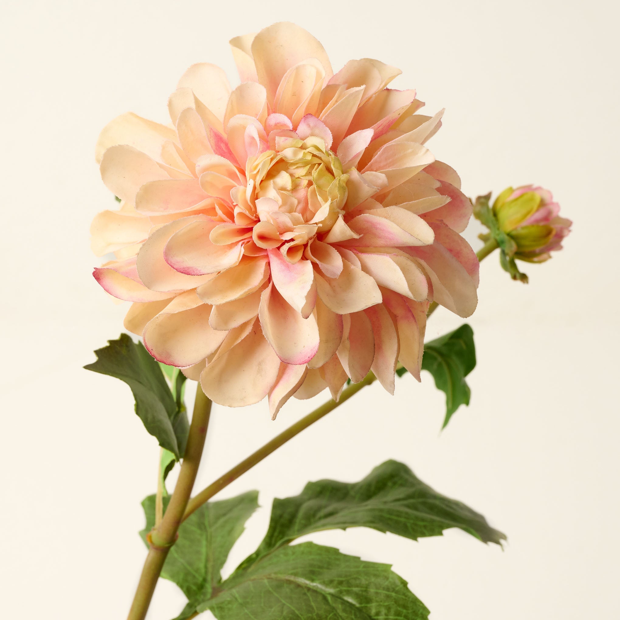 Real Touch Dahlia Stem peach close up $28.00