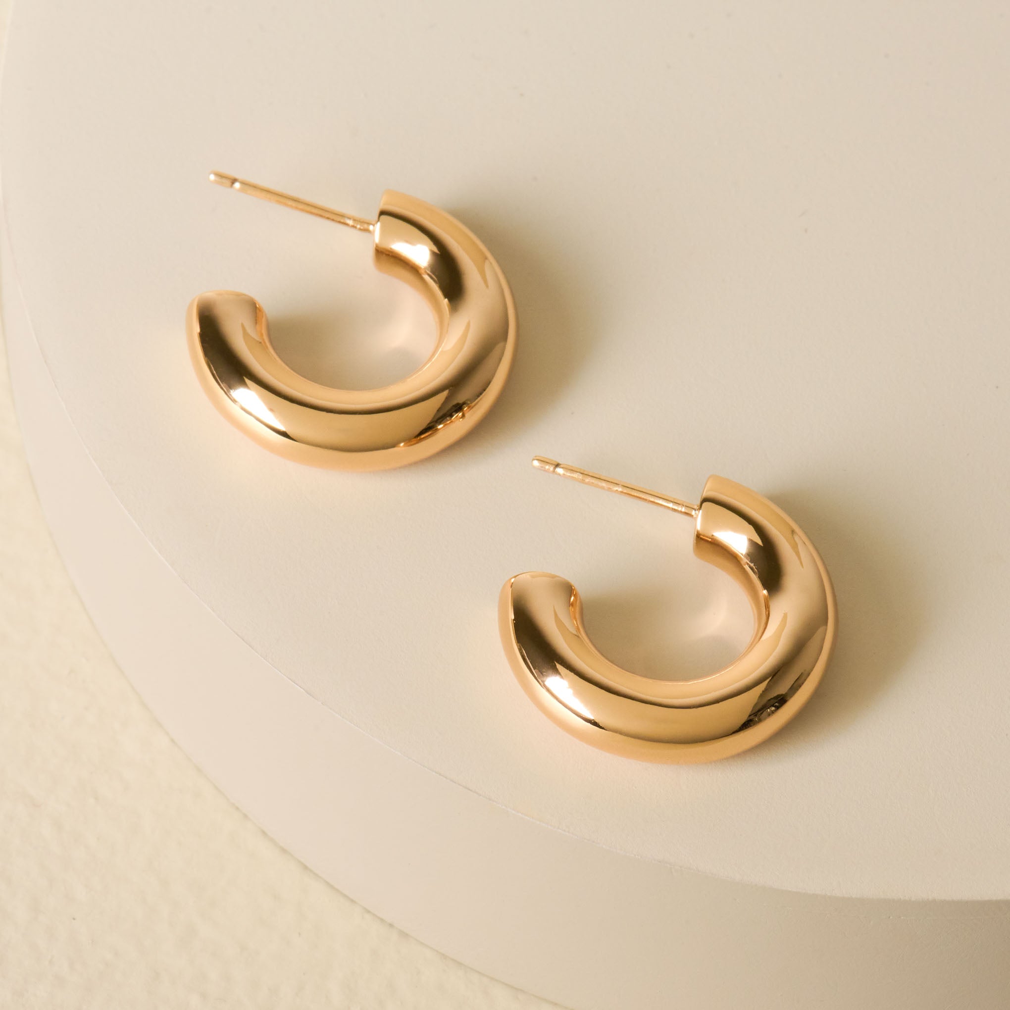 Cenie Earrings $42.00