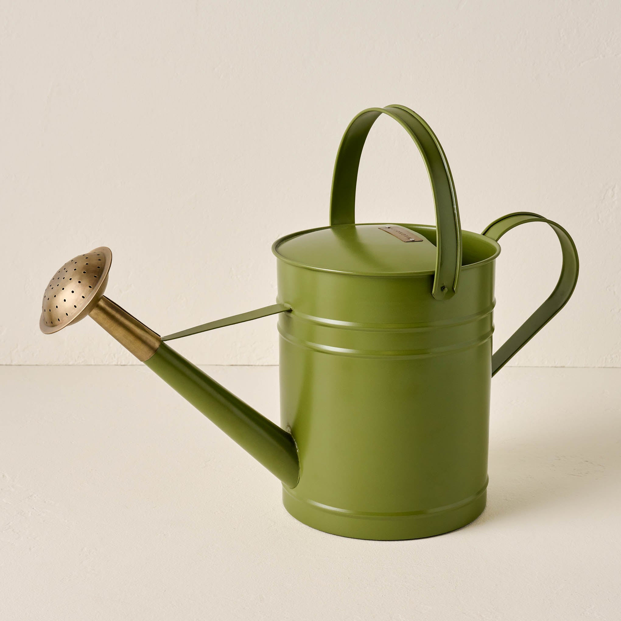 Magnolia Green Enamel Watering Can $58.00