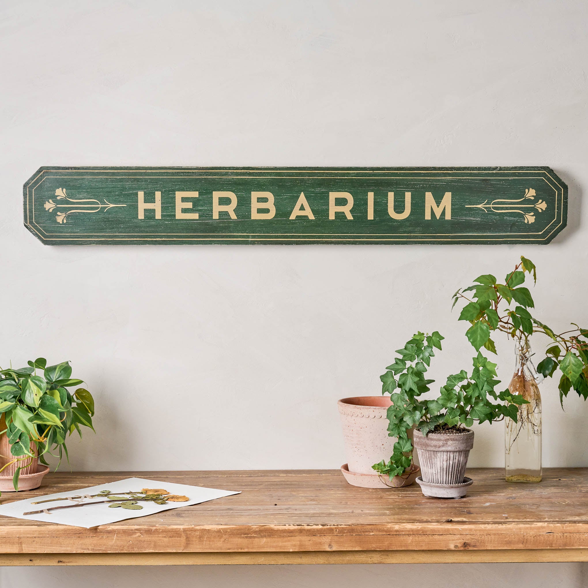 Vintage Inspired Herbarium Sign on a wall above potted plants