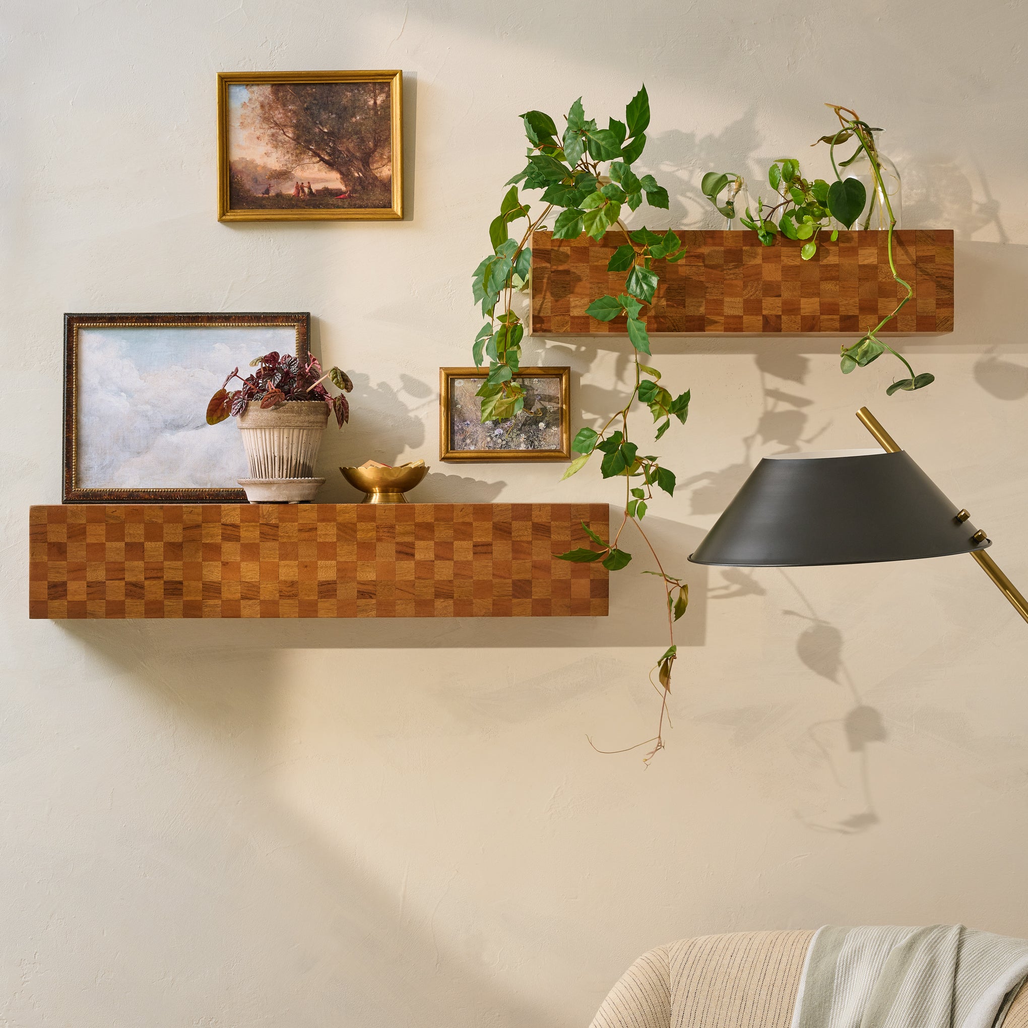 Milo Checkerboard Wood Shelf in two sizes with plants on top $48.00