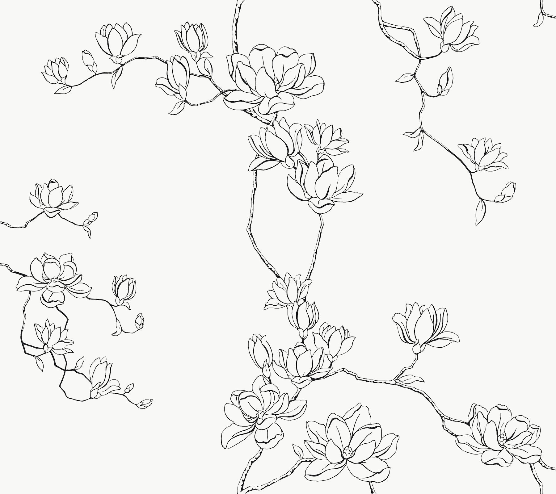 Magnolia Branches Wallpaper in black