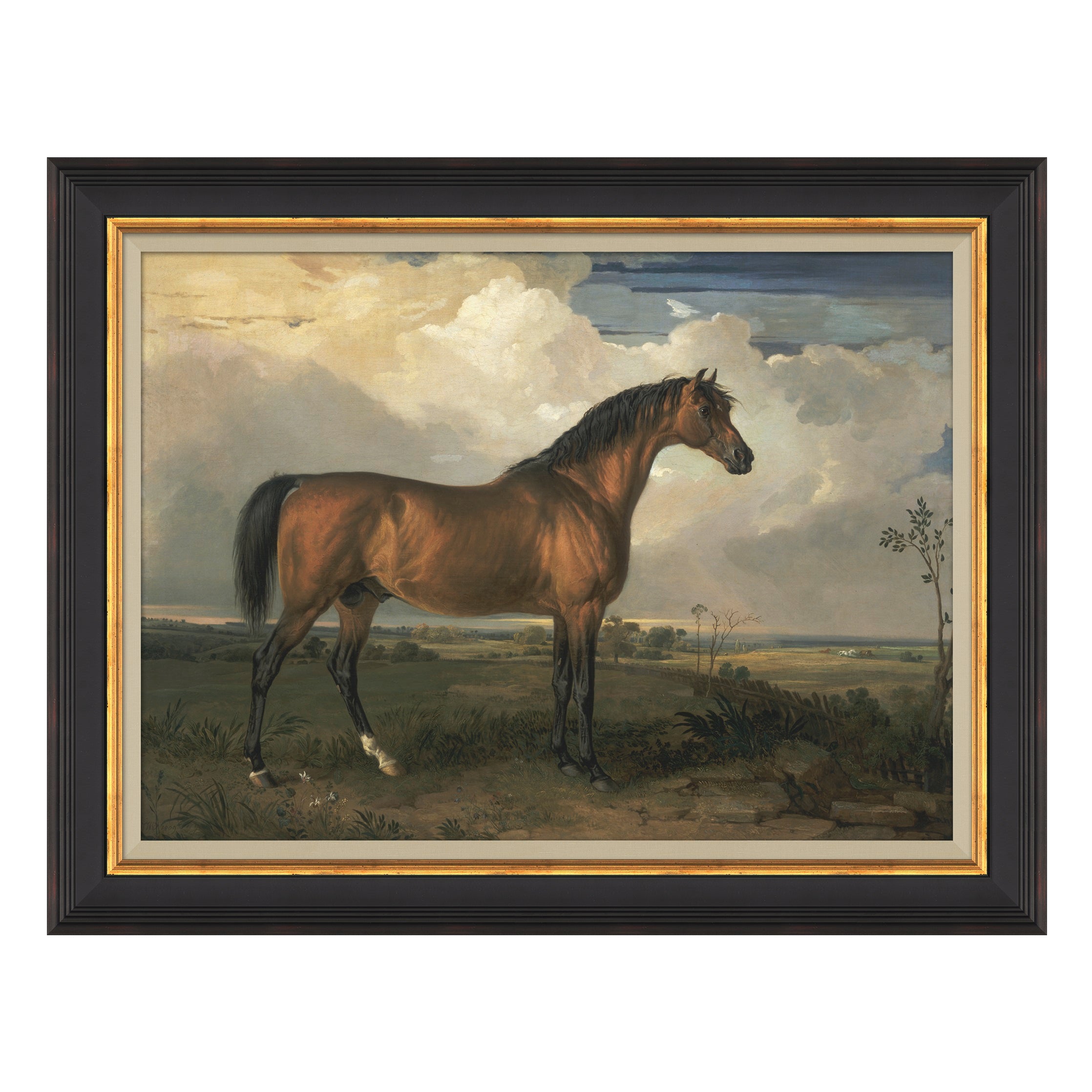 Framed wall art called equestrian study shows a horse in a field with clouds in background