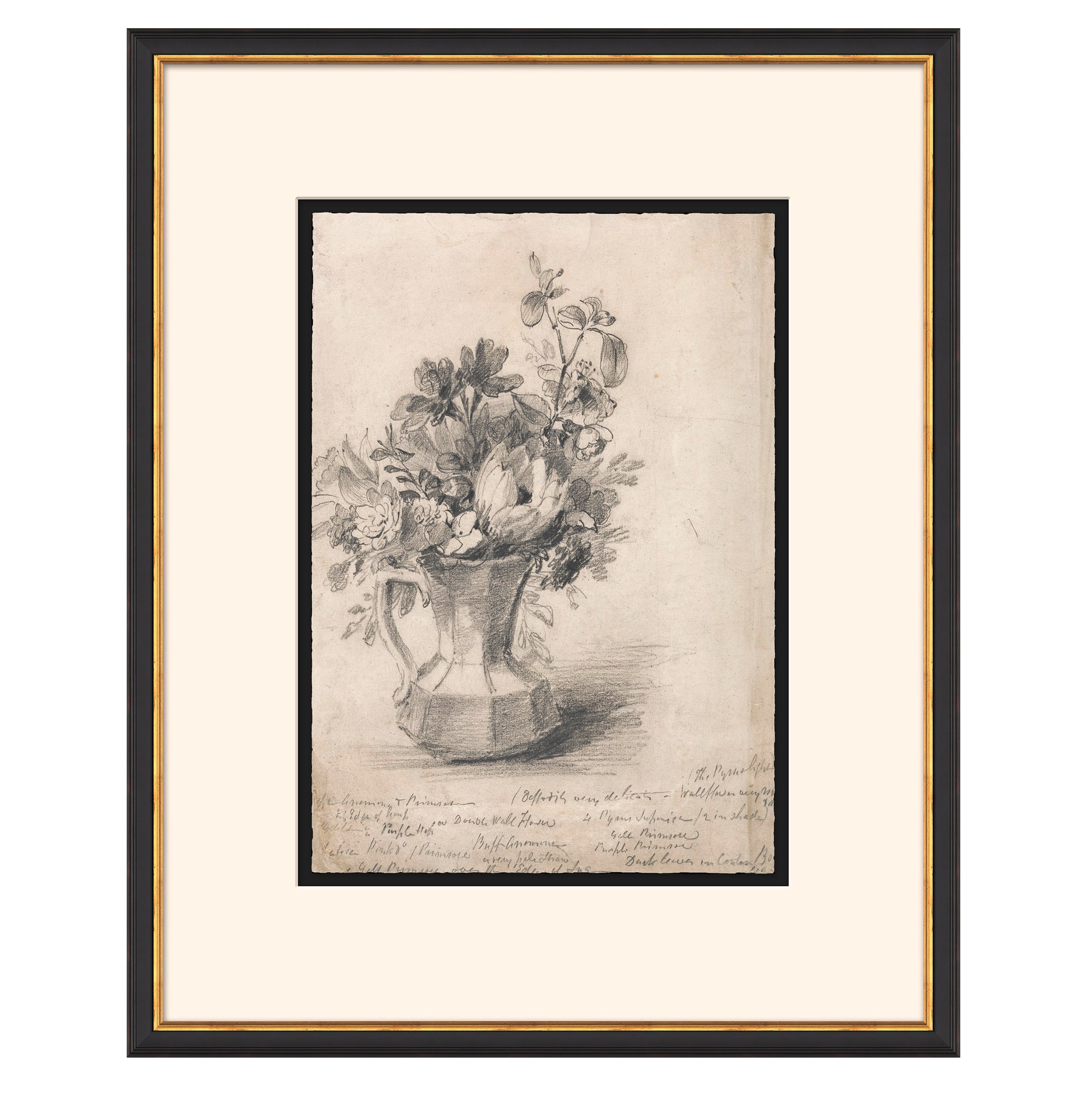 Vintage Floral Sketch I $268.00