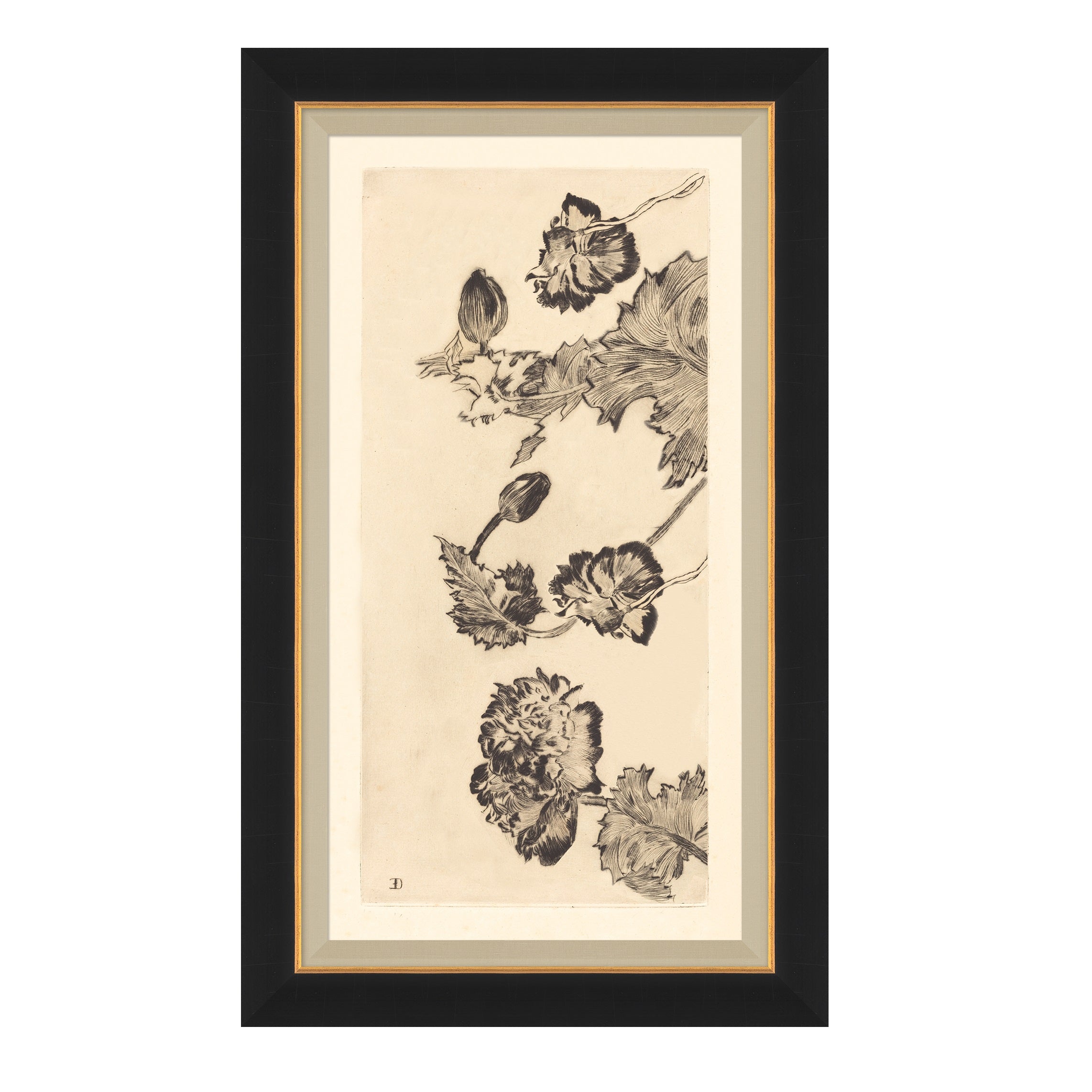 framed wall art called Vintage Peony II