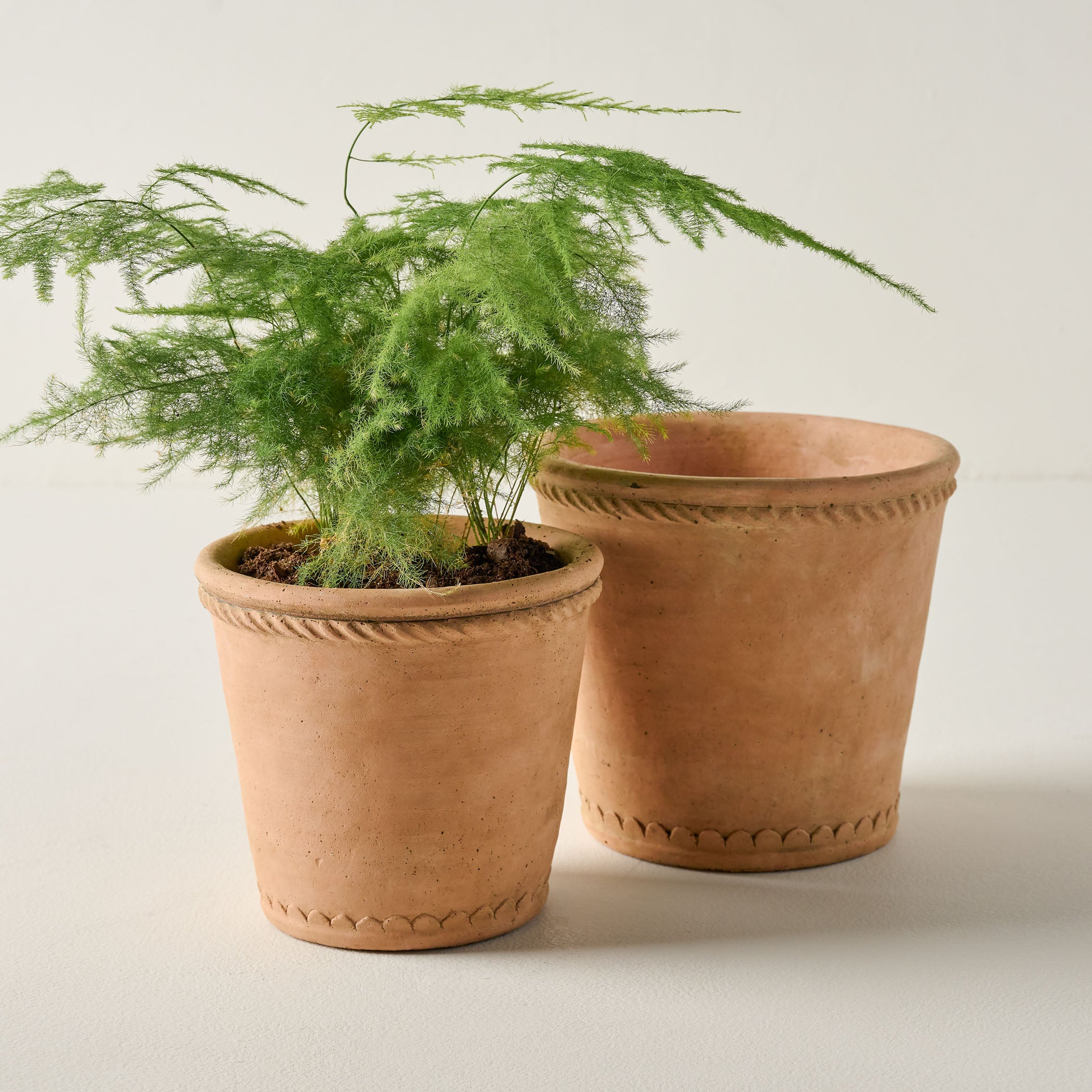 Terracotta Garden Roped Edge Pot with plant Items range from $18.00 to $28.00