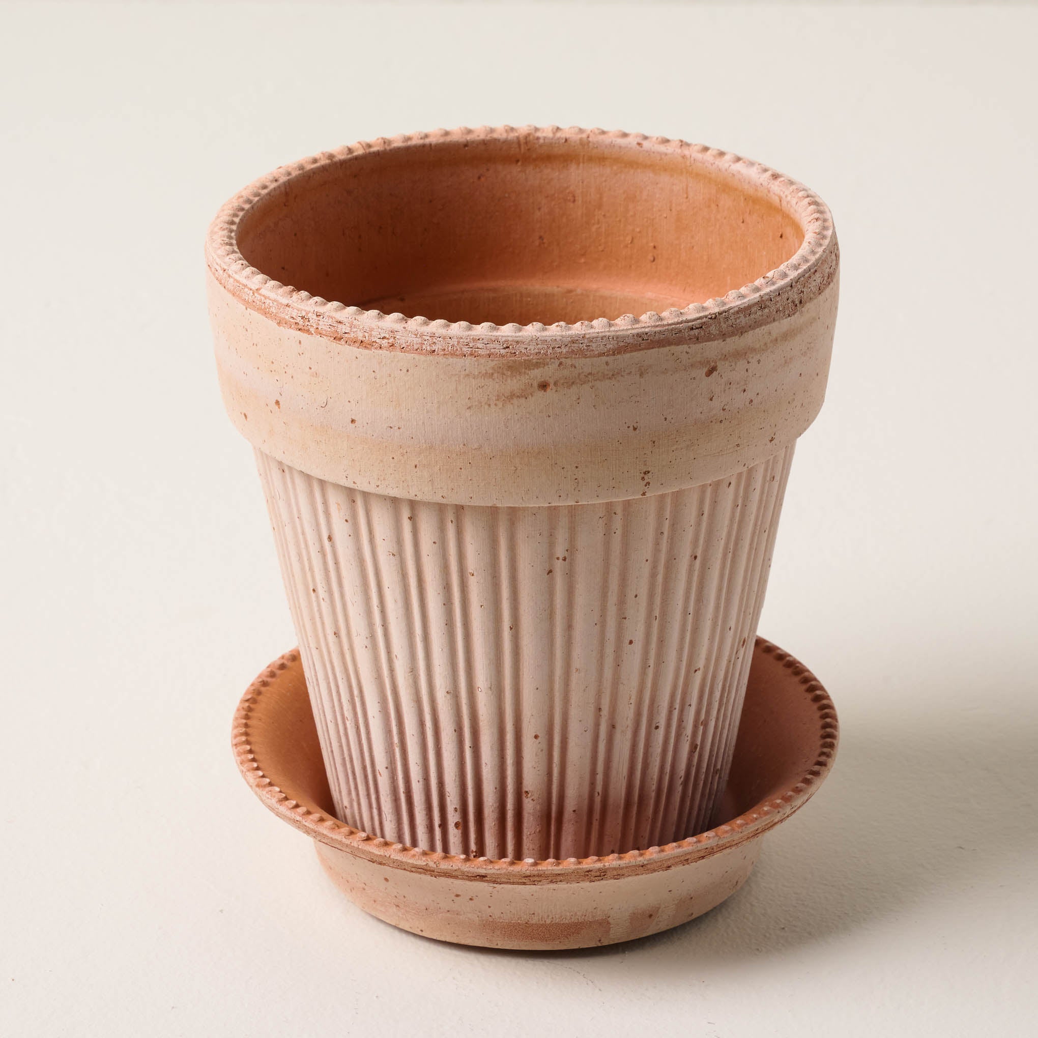 Terracotta Dotted Bergs Pot On sale with items ranging from $20.80 to $28.80, discounted from $26.00 to $36.00