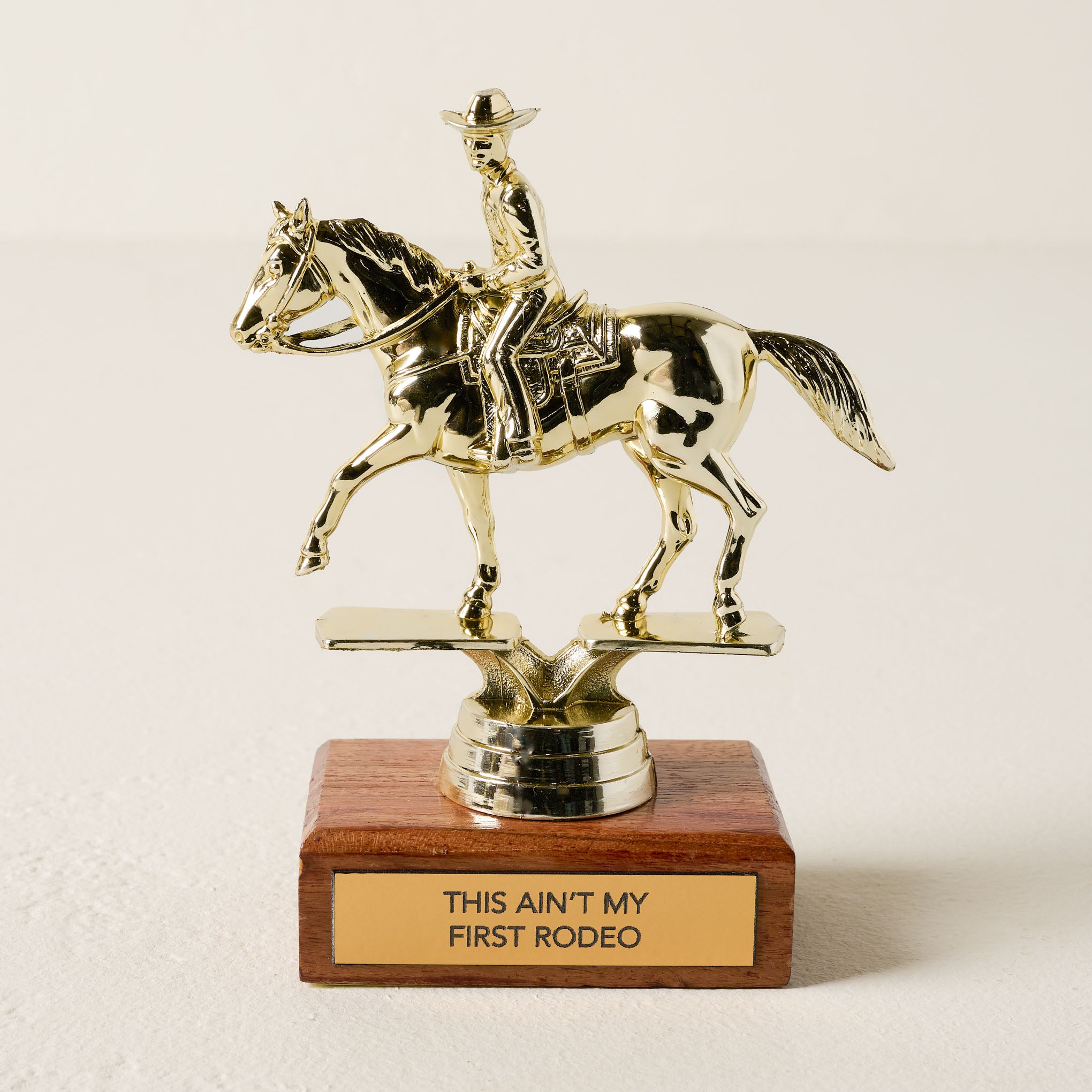 This Ain't My First Rodeo Trophy  $32.00
