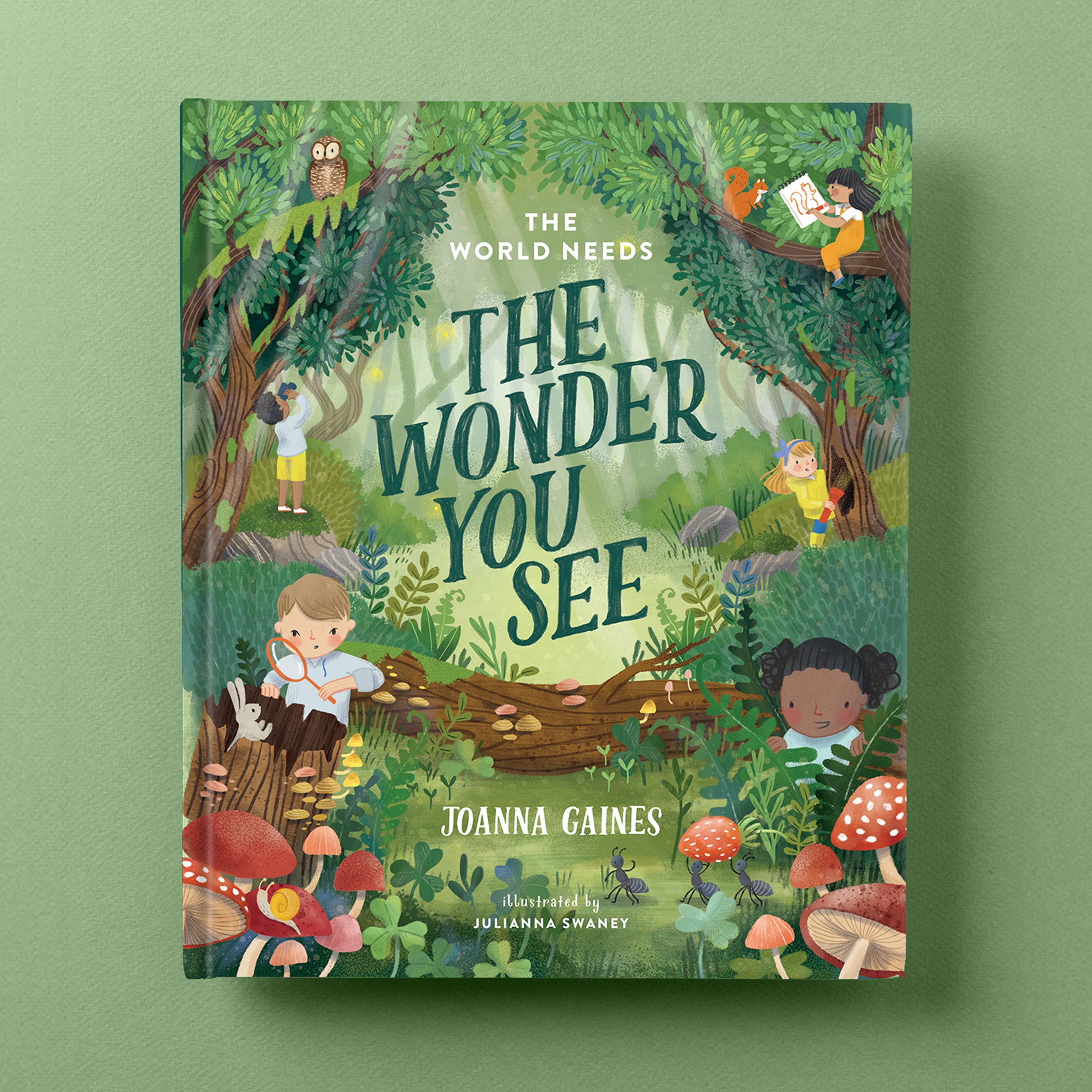 The World Needs the Wonder You See book cover $19.99