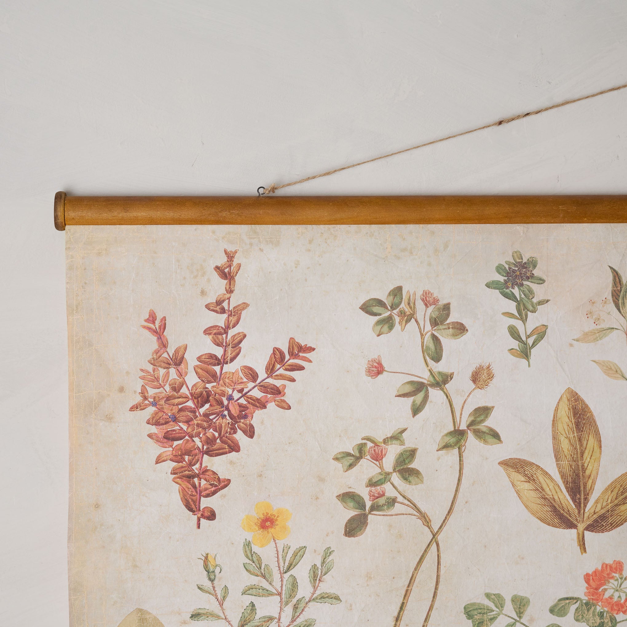 Botany tapestry hotsell