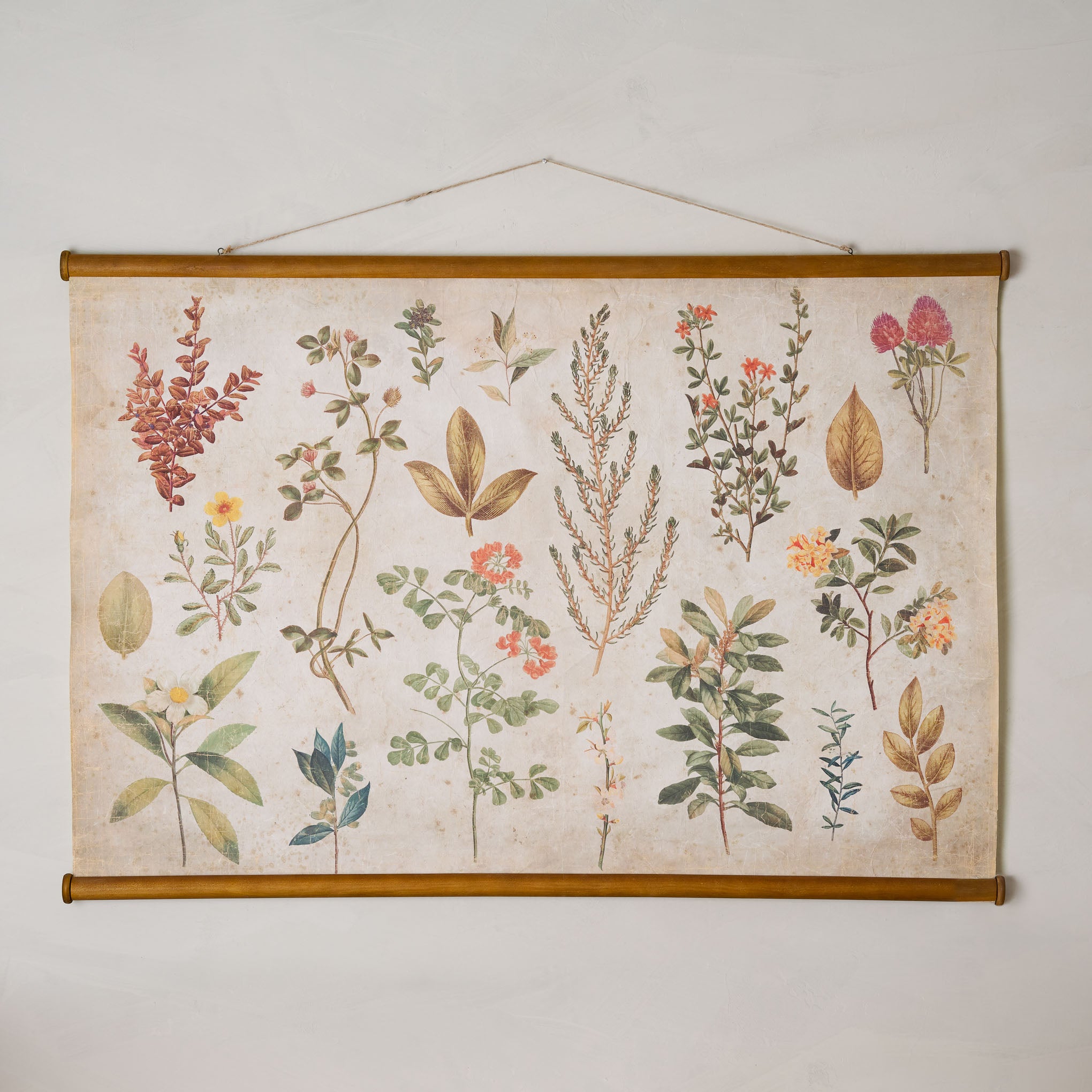 Botany tapestry hotsell