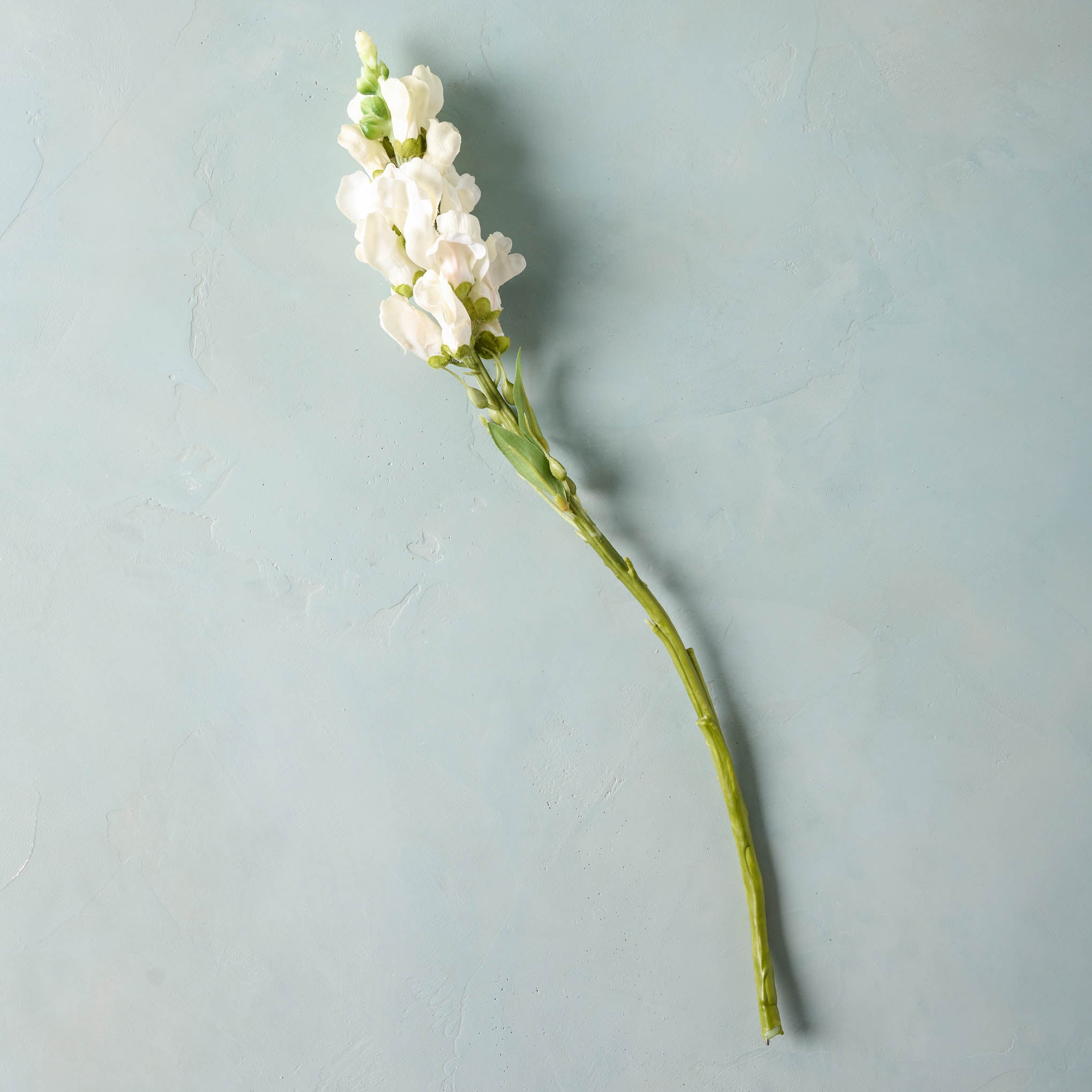 Stock Flower Stem - Magnolia