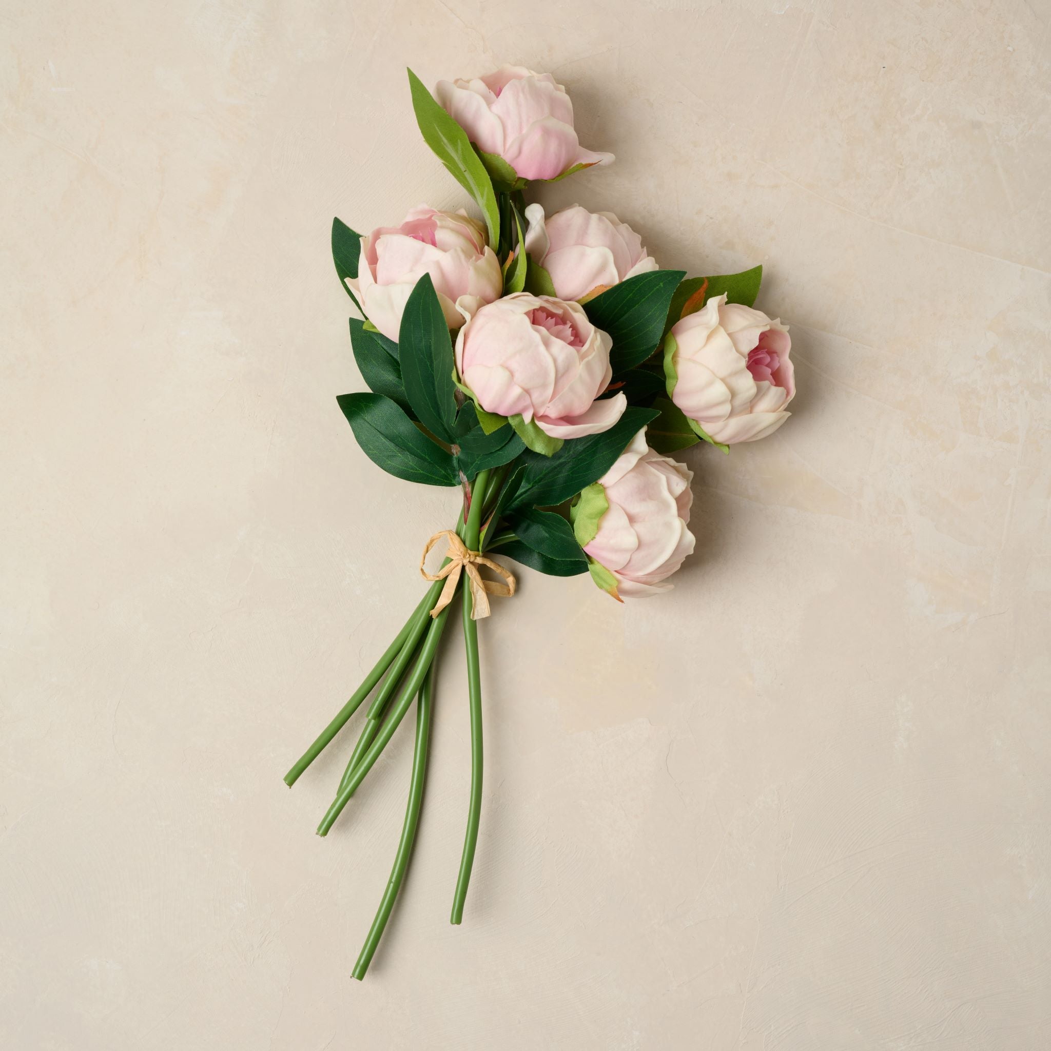 peony bundle in pink tied together with string