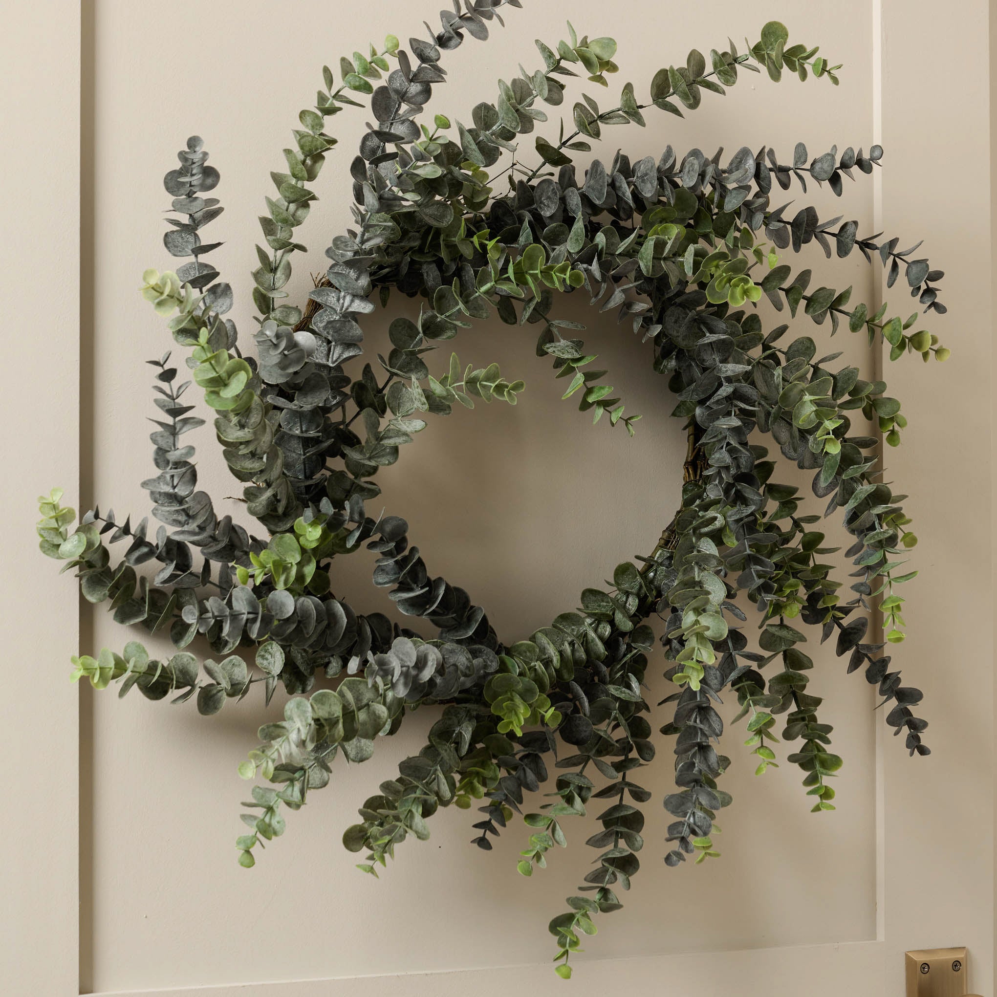 Light Green Eucalyptus Wreath on beige door On sale for $45.12, discounted from $94.00