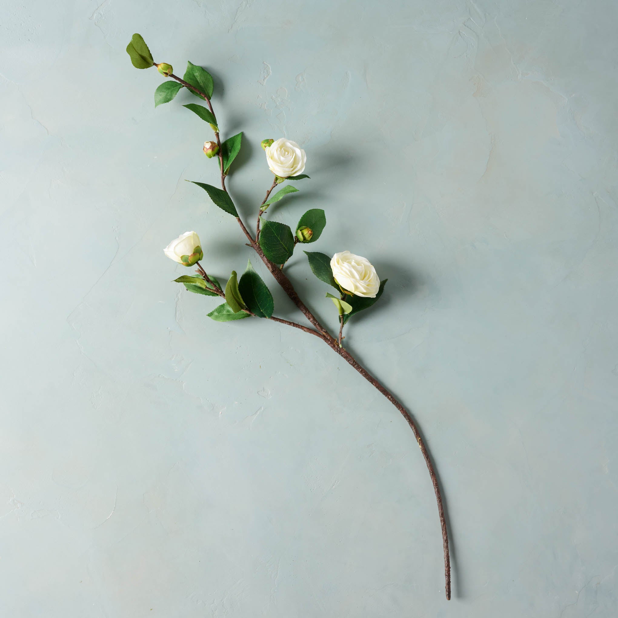 Camellia Stem $14.00