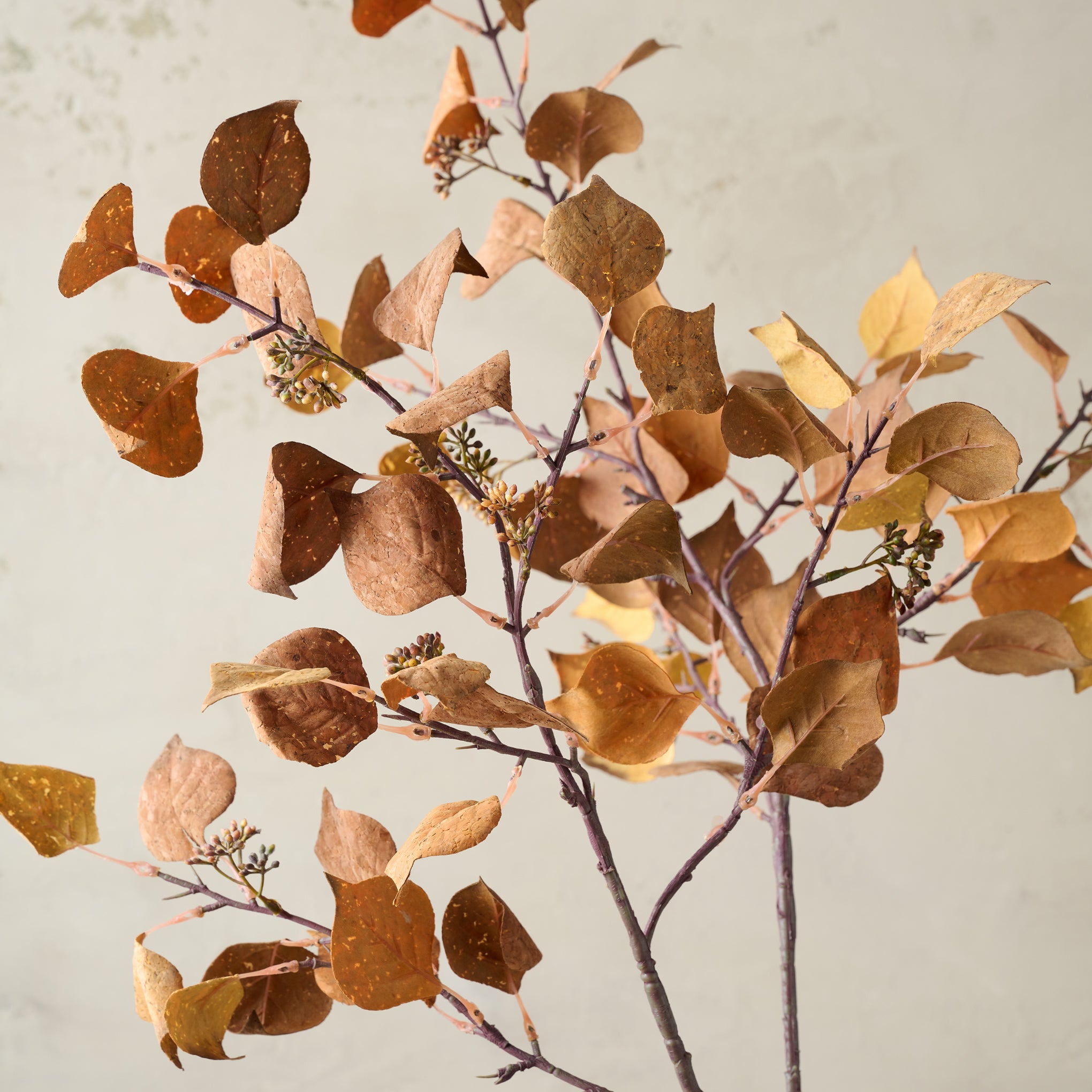 Mustard Silver Dollar Eucalyptus Stem