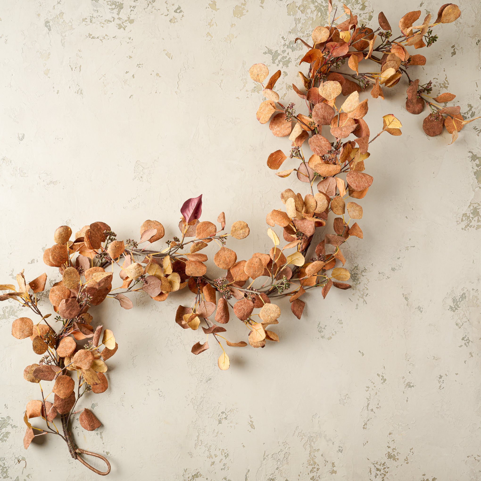 Magnolia Mustard and Orange Silver Dollar Eucalyptus Garland On sale for $46.40, discounted from $58.00