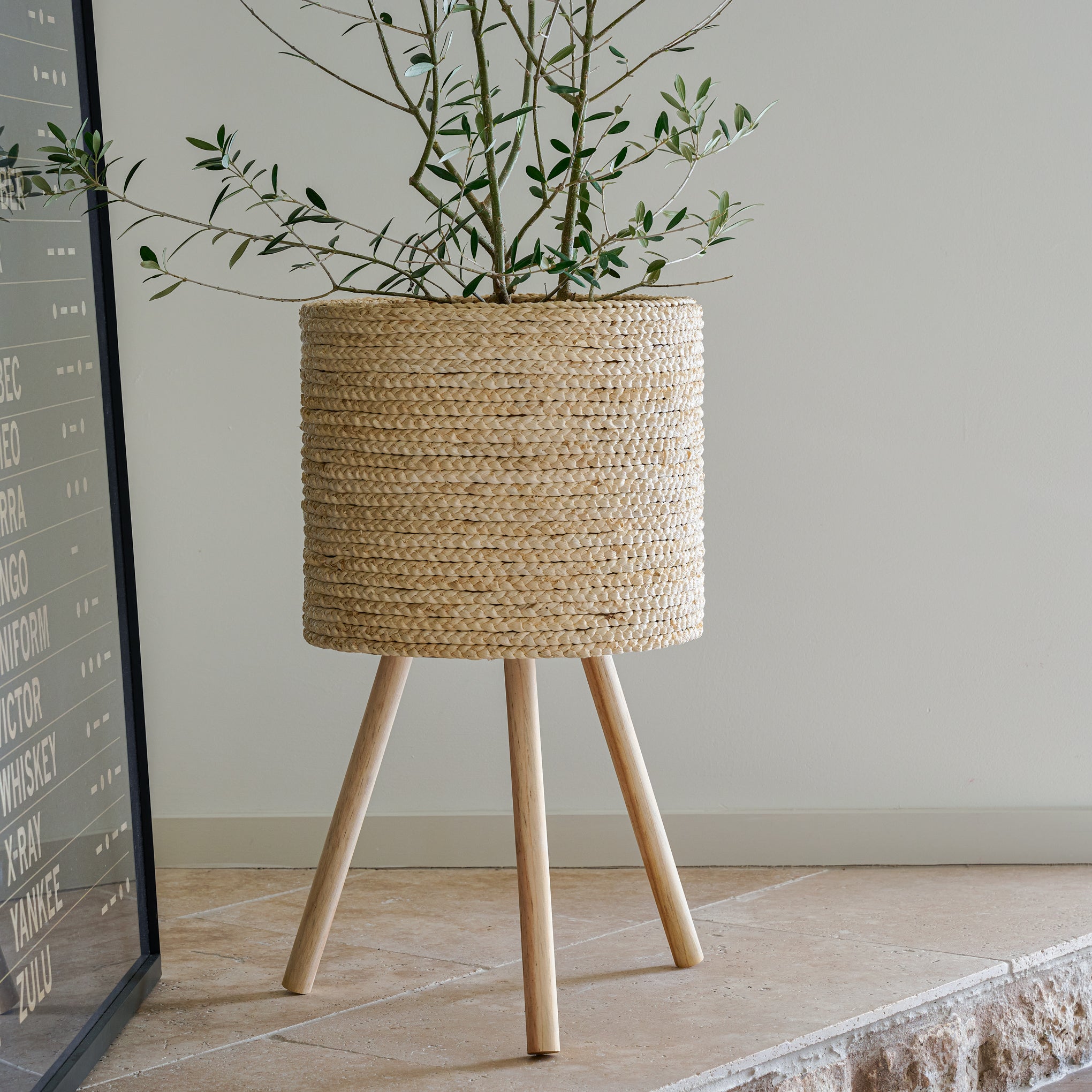 magnolia bleached woven plant stand Items range from $38.00 to $62.00