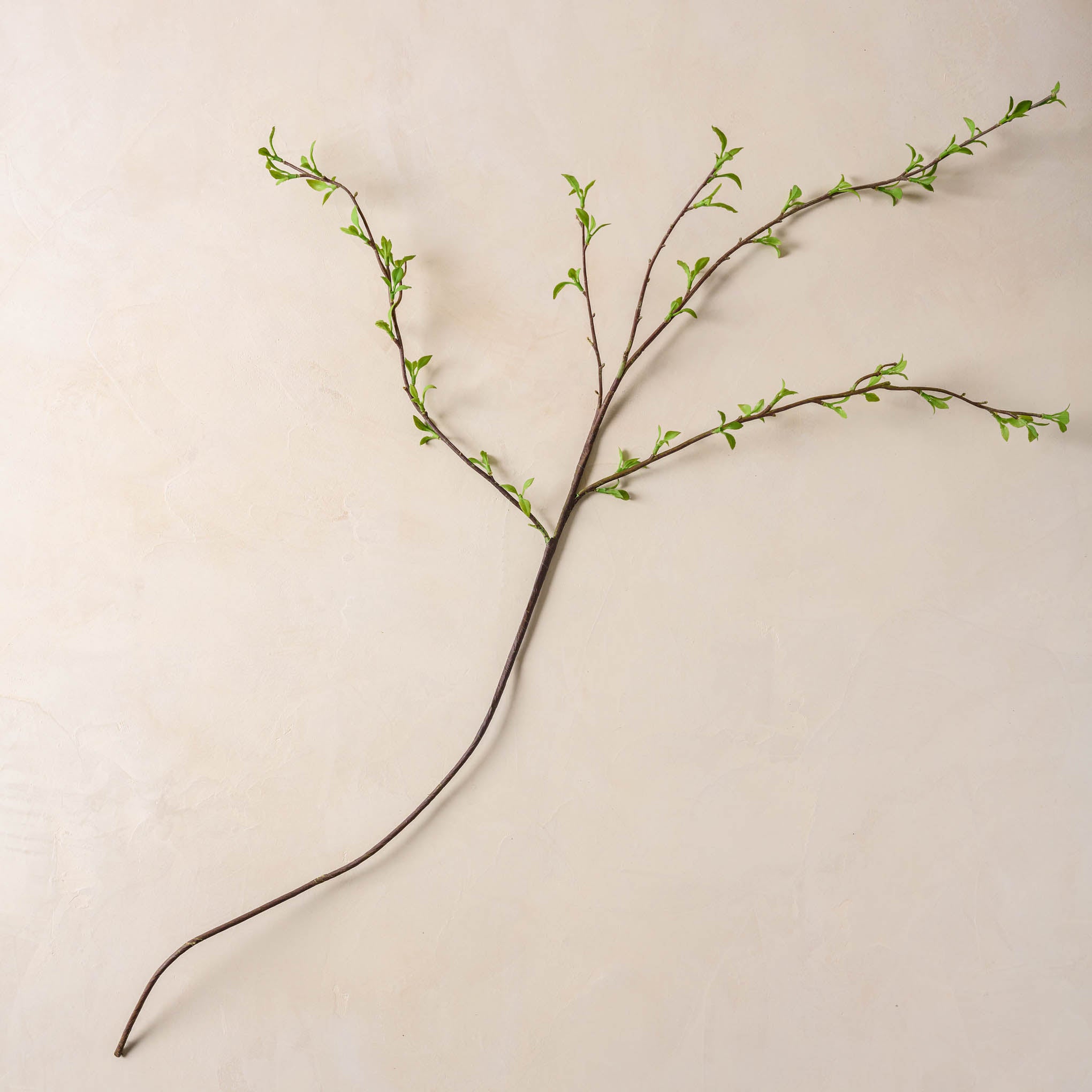 Leafy Green Bud Branch On sale for $12.80, discounted from $16.00