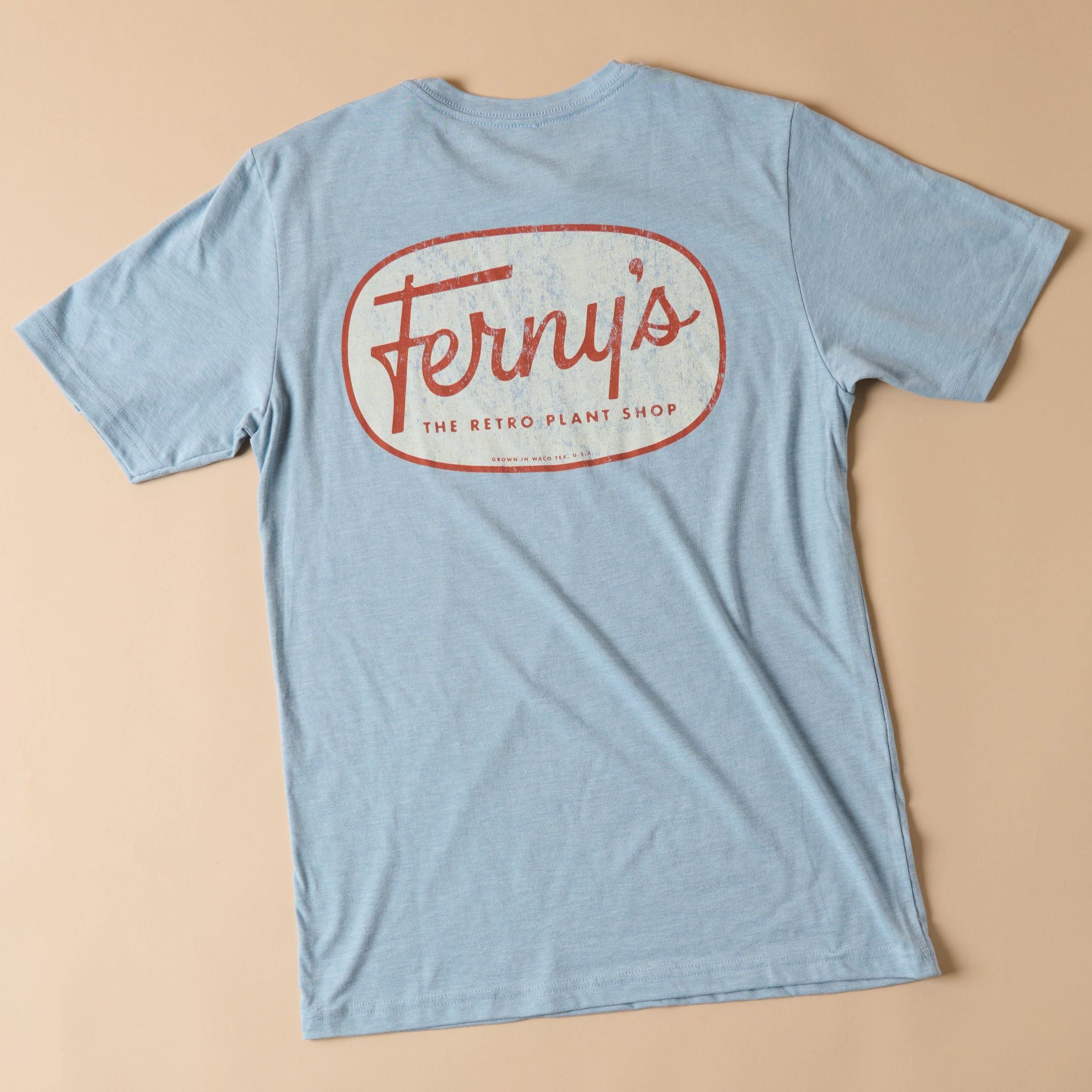 Ferny's Light Blue and Brown Graphic T-Shirt $32.00