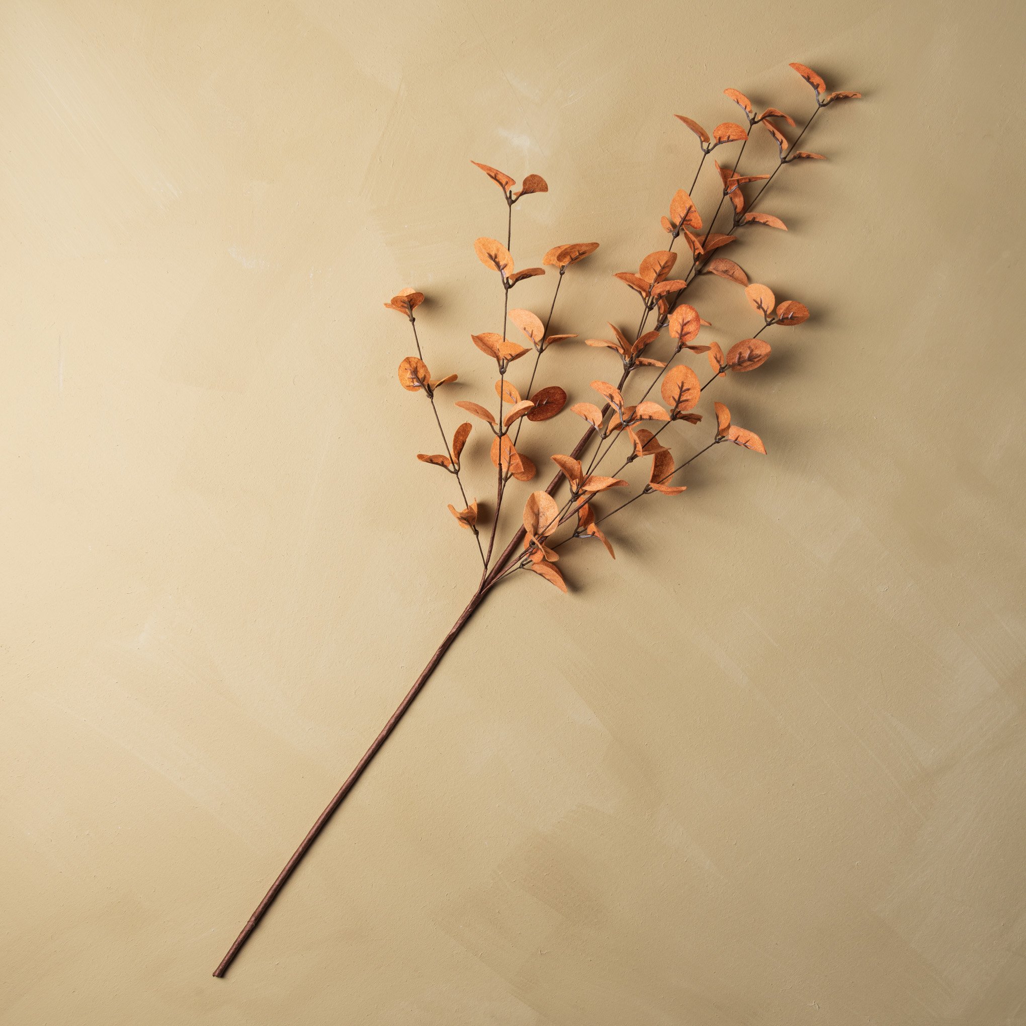 long light sienna orange eucalyptus stem