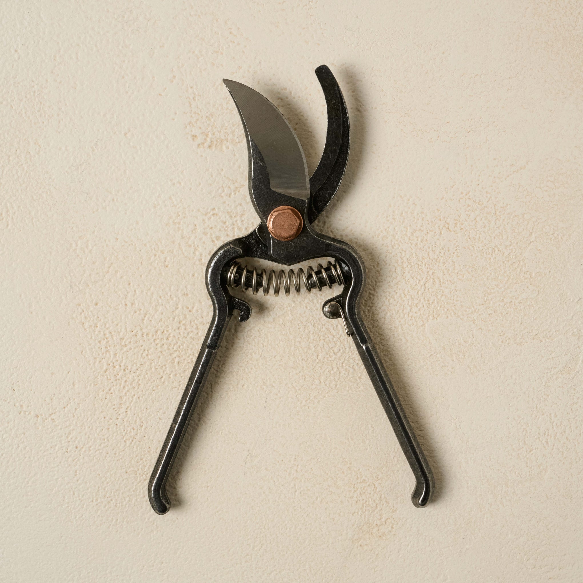 Barebones Pruner