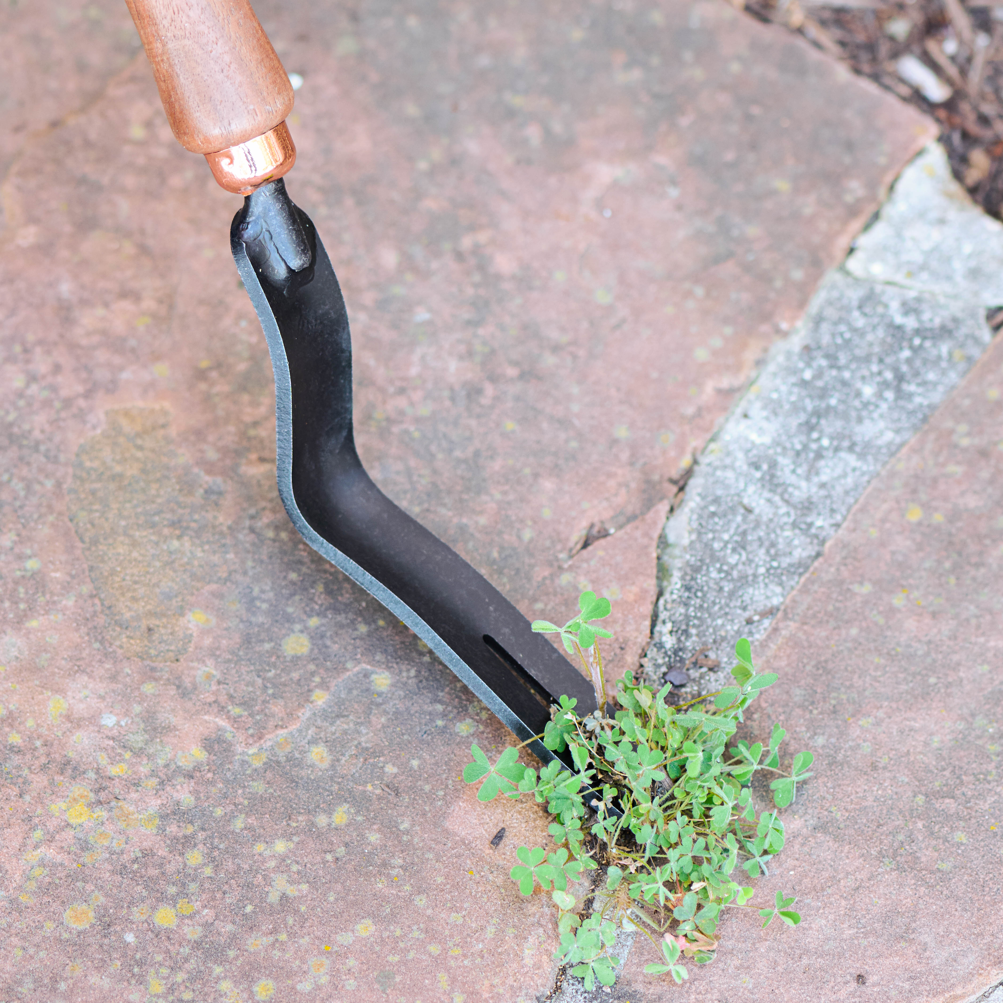 dandelion weeding fork