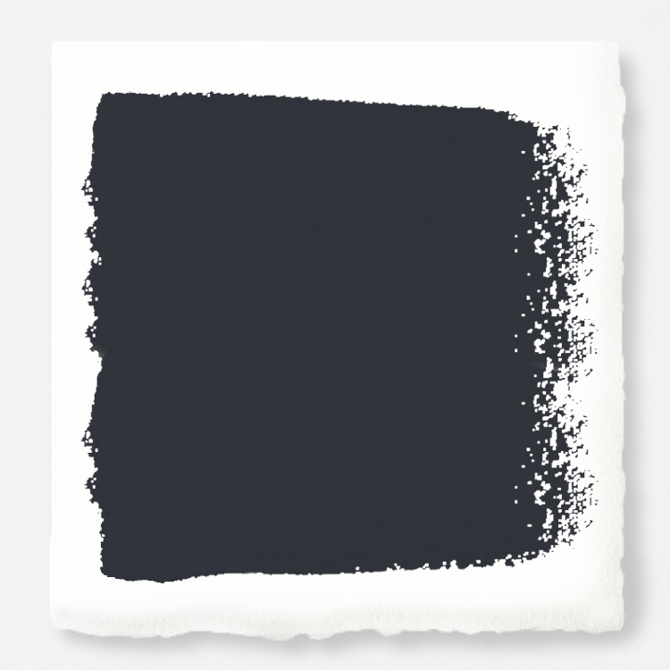 A dark chalkboard black with blue undertones paint.