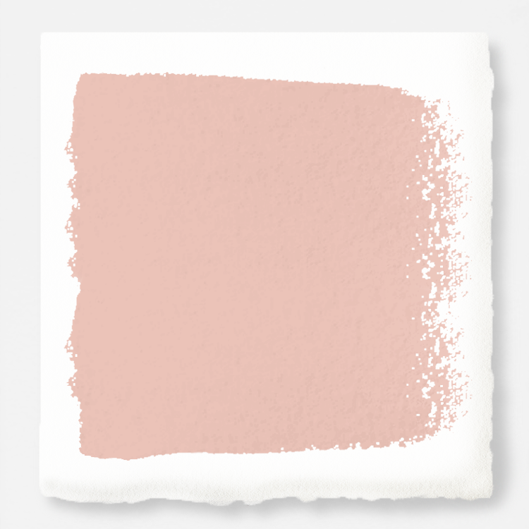 light salmon pink paint named cabbage rose