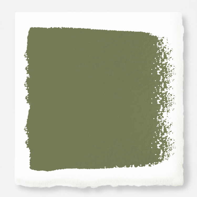 medium muted evergreen green paint