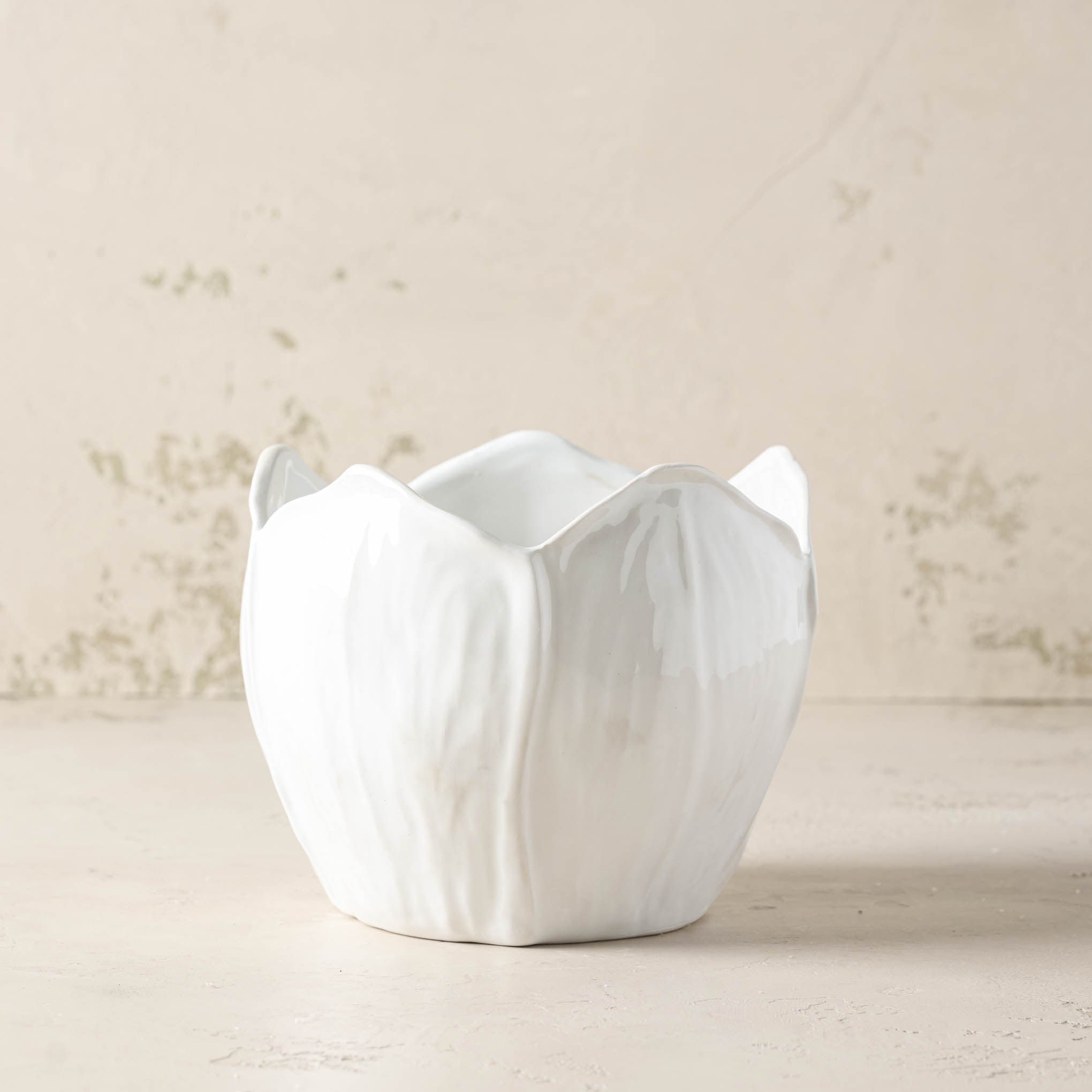 Magnolia Ceramic Planter in large size Items range from $18.00 to $38.00