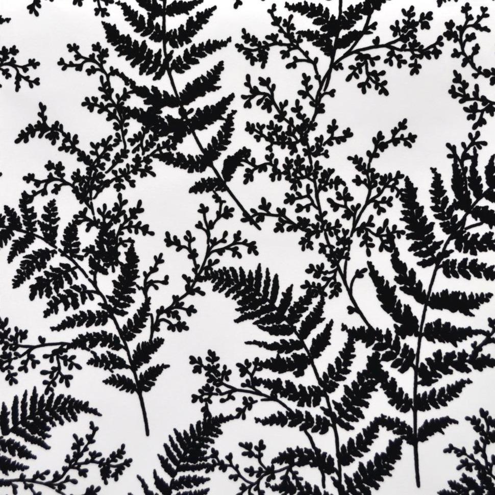 black and white fern pattern wallpaper
