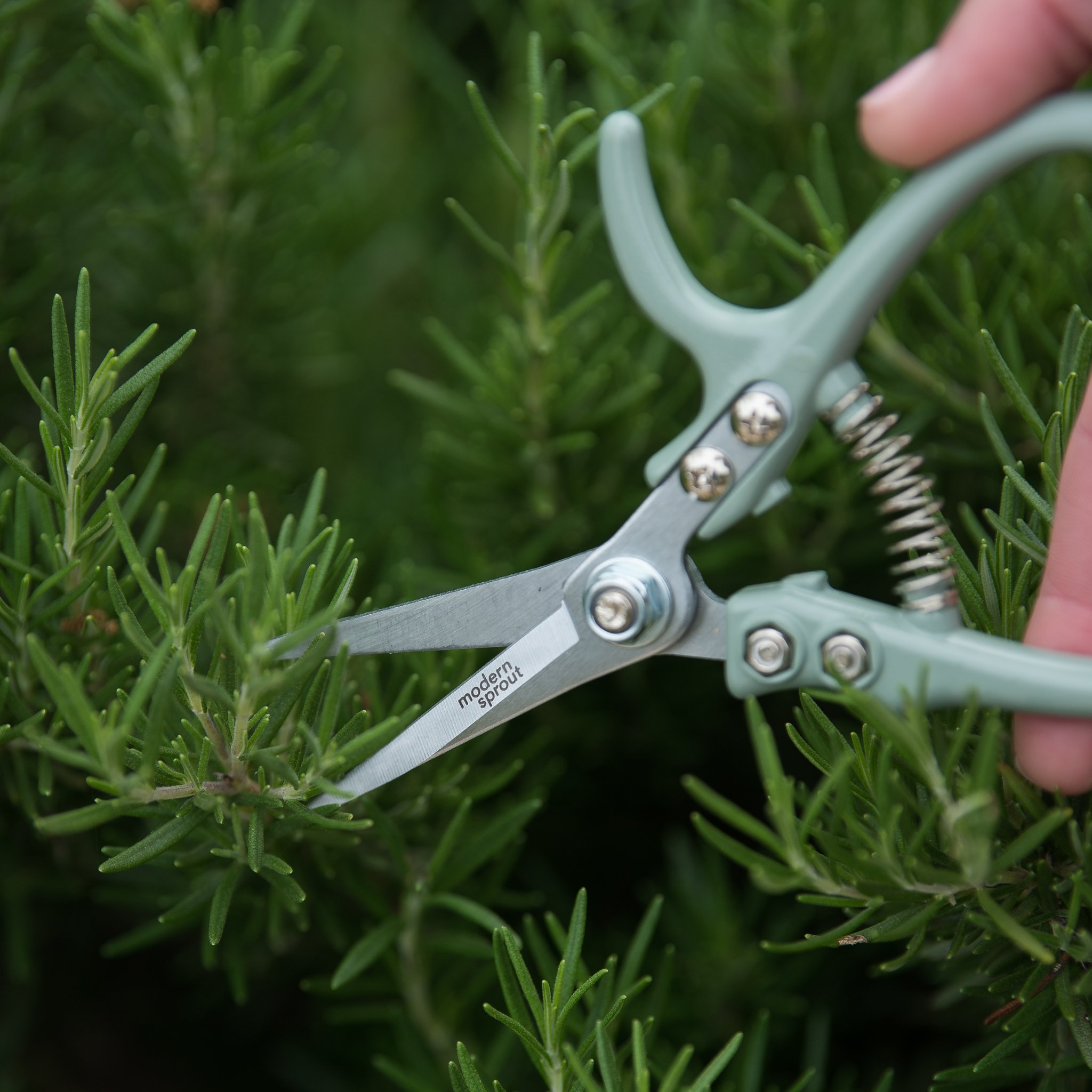 Pruning Shears  Vanilla – Pigment