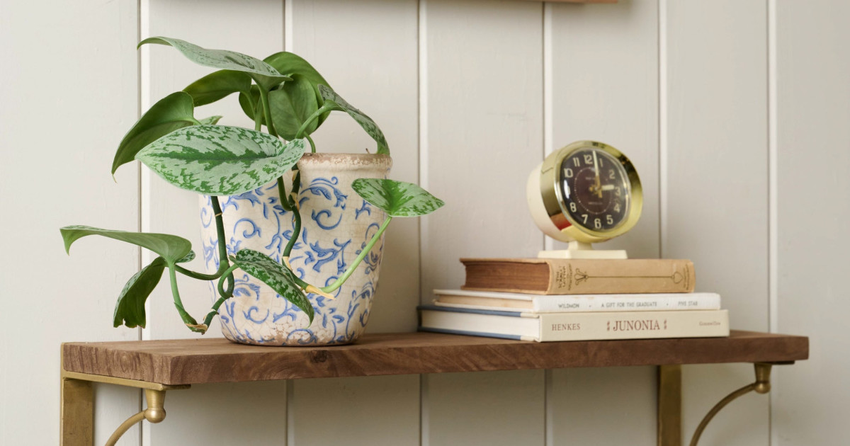 Double Parker Brass and Wood Shelf