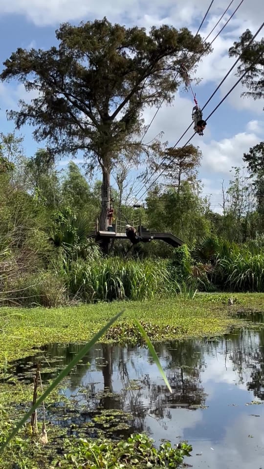 New Orleans Swamp Zipline Adventure | ZIpNola