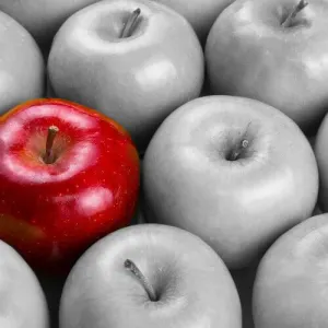 Standout Red Apple | A Style as Unique as You