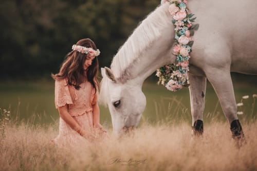 /_vercel/image?url=/Horse+fine+art+photoshoot+in+Bouferterhaff.+&w=1536&q=100