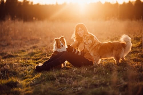 /_vercel/image?url=/Woman+in+a+pullover+is+sitting+with+two+dogs+on+the+field+during+the+spring+sunset.&w=1536&q=100