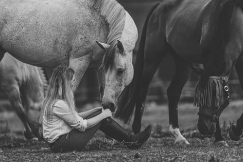 /_vercel/image?url=/Assis+%C3%A0+c%C3%B4t%C3%A9+de+chevaux+en+noir+et+blanc+au+Luxembourg.&w=1536&q=100