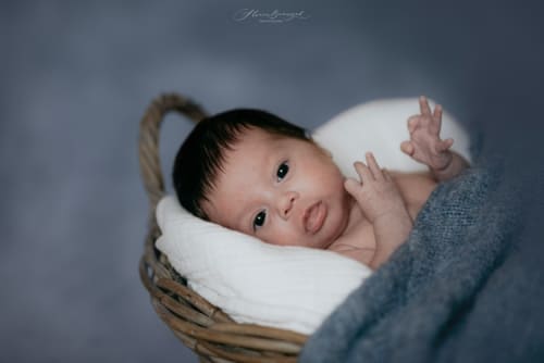 /_vercel/image?url=/Baby+in+a+basket.&w=1536&q=100