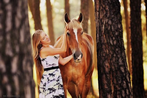 /_vercel/image?url=/Belle+femme+avec+un+cheval+dans+la+nature+en+%C3%A9t%C3%A9+au+Luxembourg.&w=1536&q=100